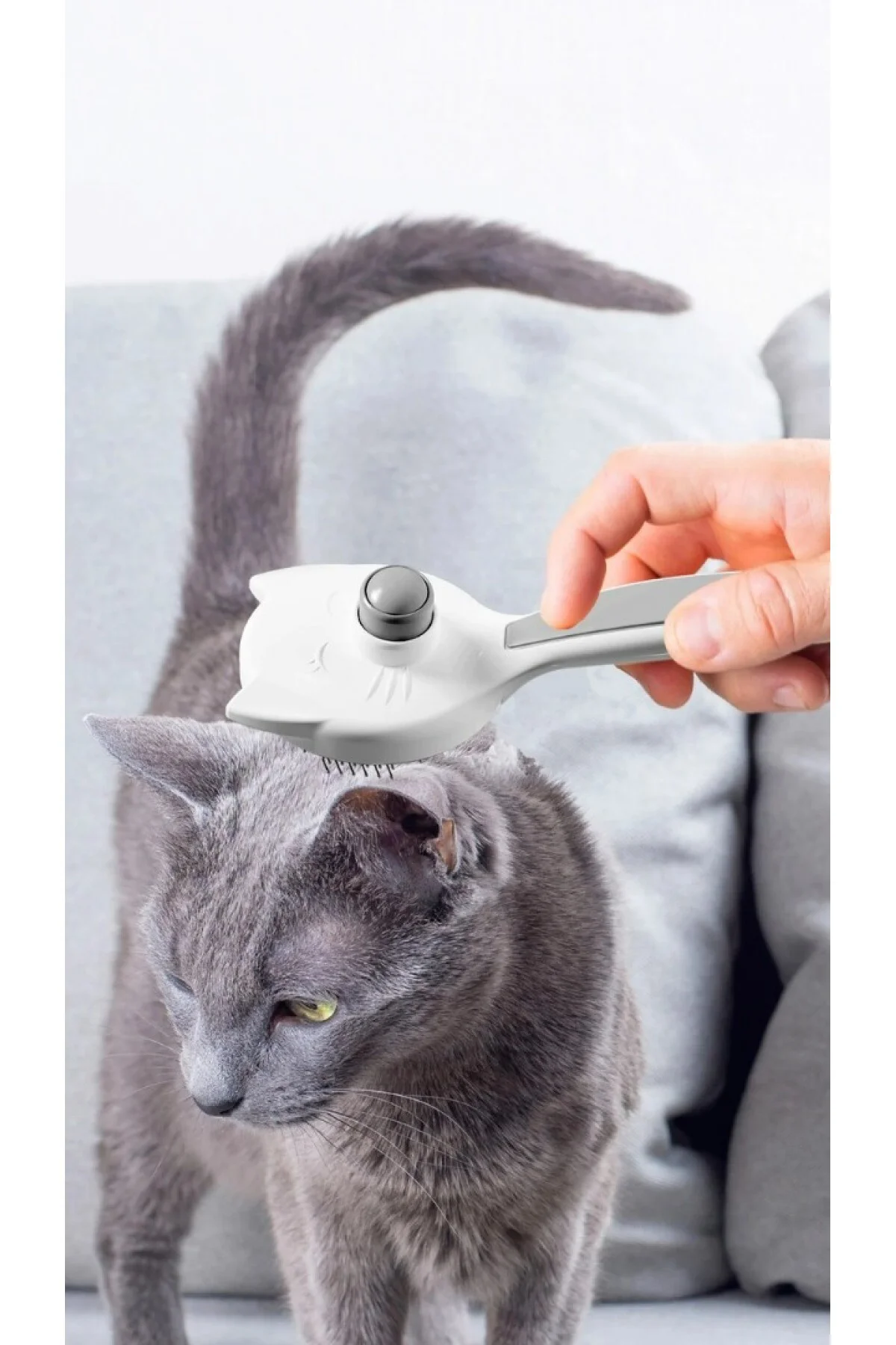 Kedi Tüy Toplama Tarağı Tek Tuşla Temizlenen Pratik Pet Tarak Erg