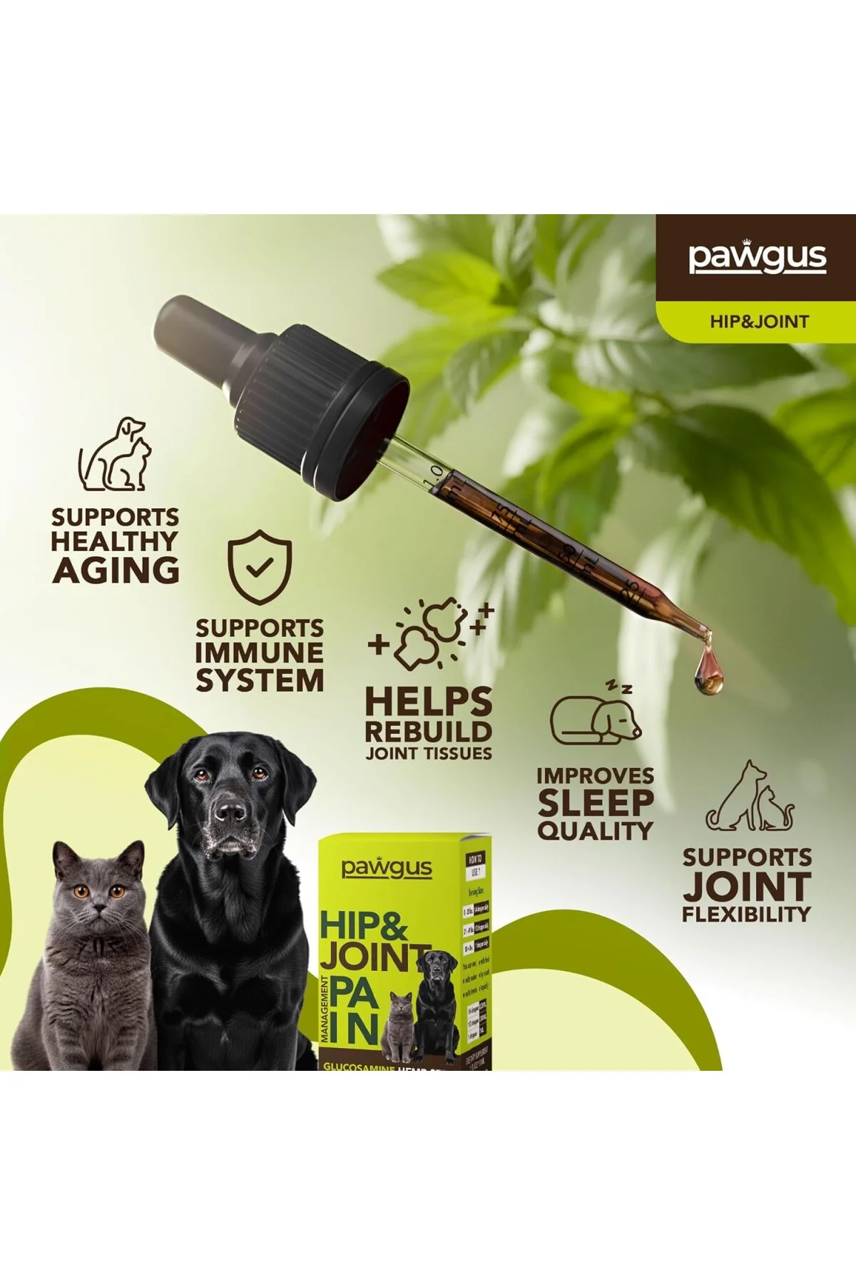 Kedi ve Köpek Kalça ve Eklem Sağlığı - Ağrı Yönetimi Glukozamin, Kondroitin, Boswellia, MS