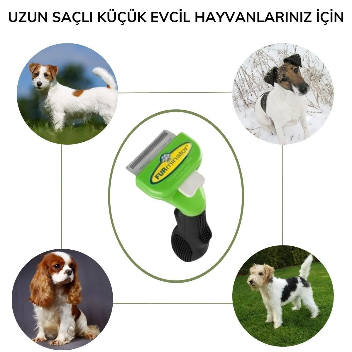 Kedi Ve Köpekler İçin Uzun Tüylü Köpek Tarağı Tüy Toplayıcı Tarak Small Bx40 Fiyatı, Yorumları ve Özellikleri