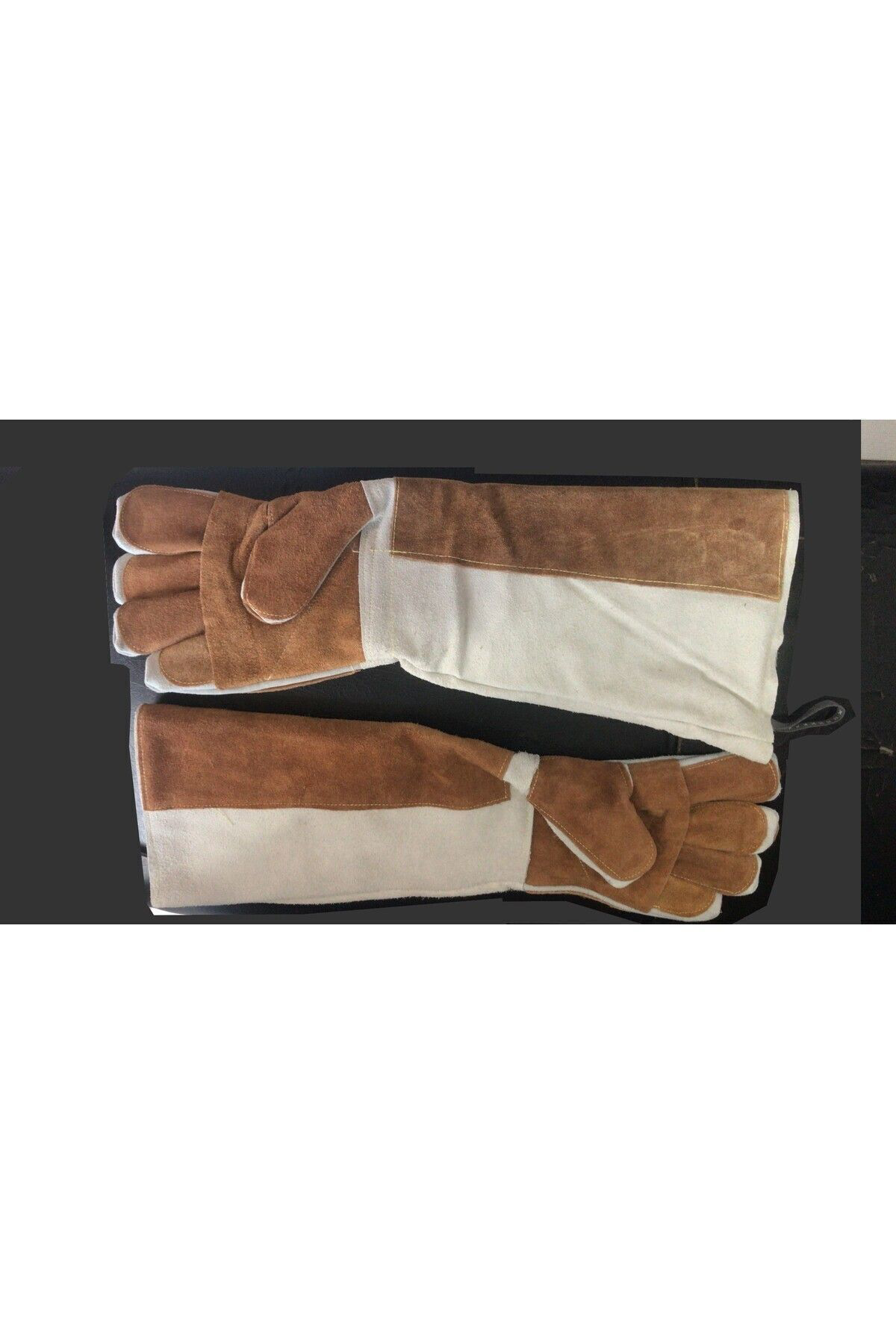 Ekvet Kedi Yakalama Tutma Eldiveni Diş Geçmez