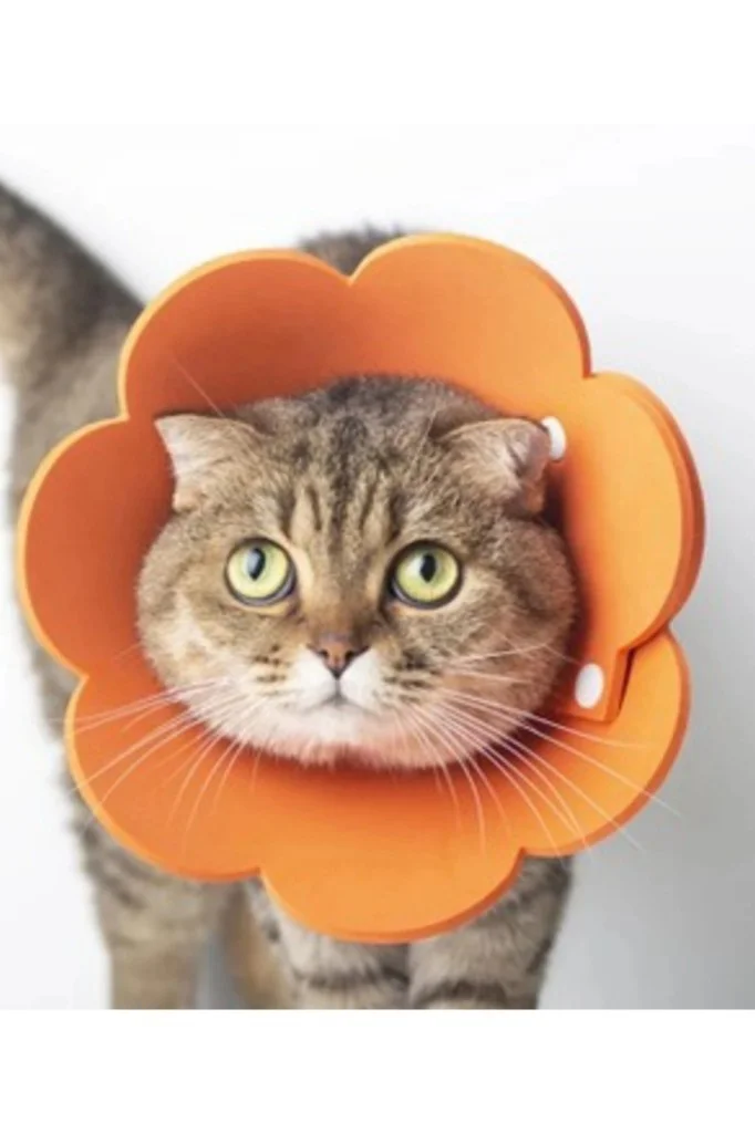 Kedi Yakalık Yumuşak Standart Boy Özel Teknofoam (3 Beden Ayarlan