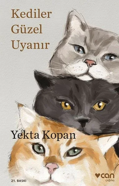 Kediler Güzel Uyanır Fiyatı, Yorumları ve Özellikleri