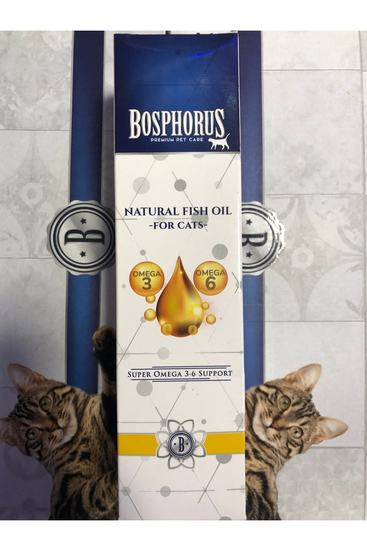 Kediler Için Balık Yağı