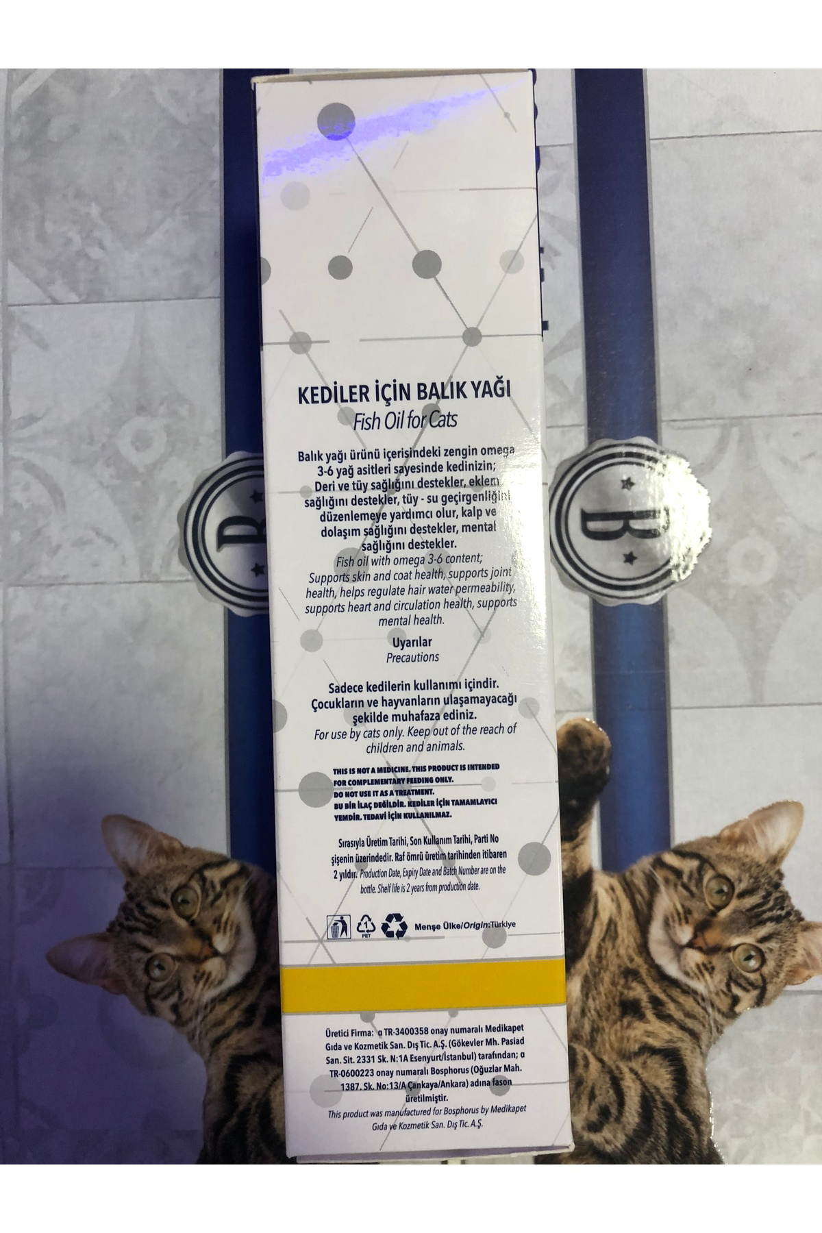 Kediler Için Balık Yağı