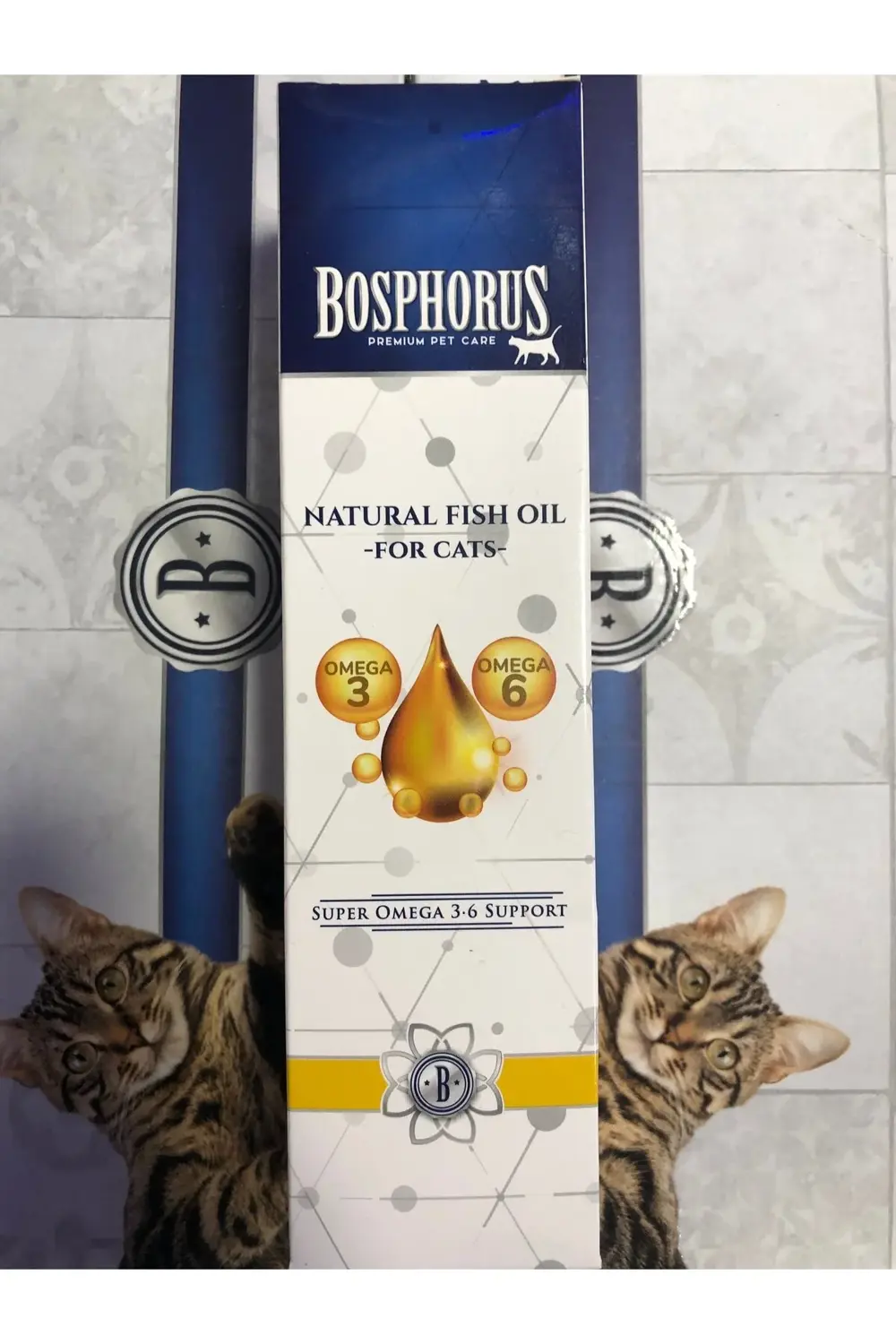 Kediler Için Balık Yağı