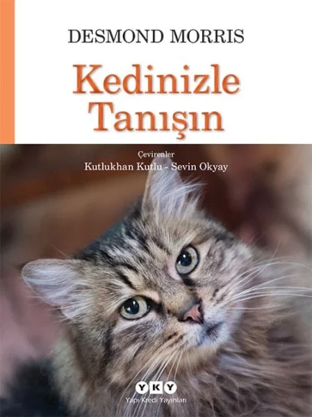 Kedinizle Tanışın Fiyatı, Yorumları ve Özellikleri
