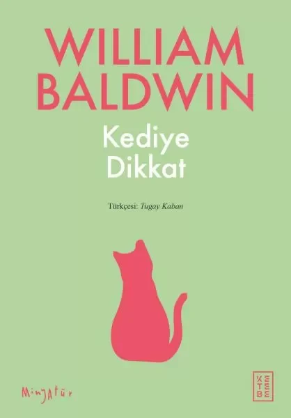 Kediye Dikkat Fiyatı, Yorumları ve Özellikleri