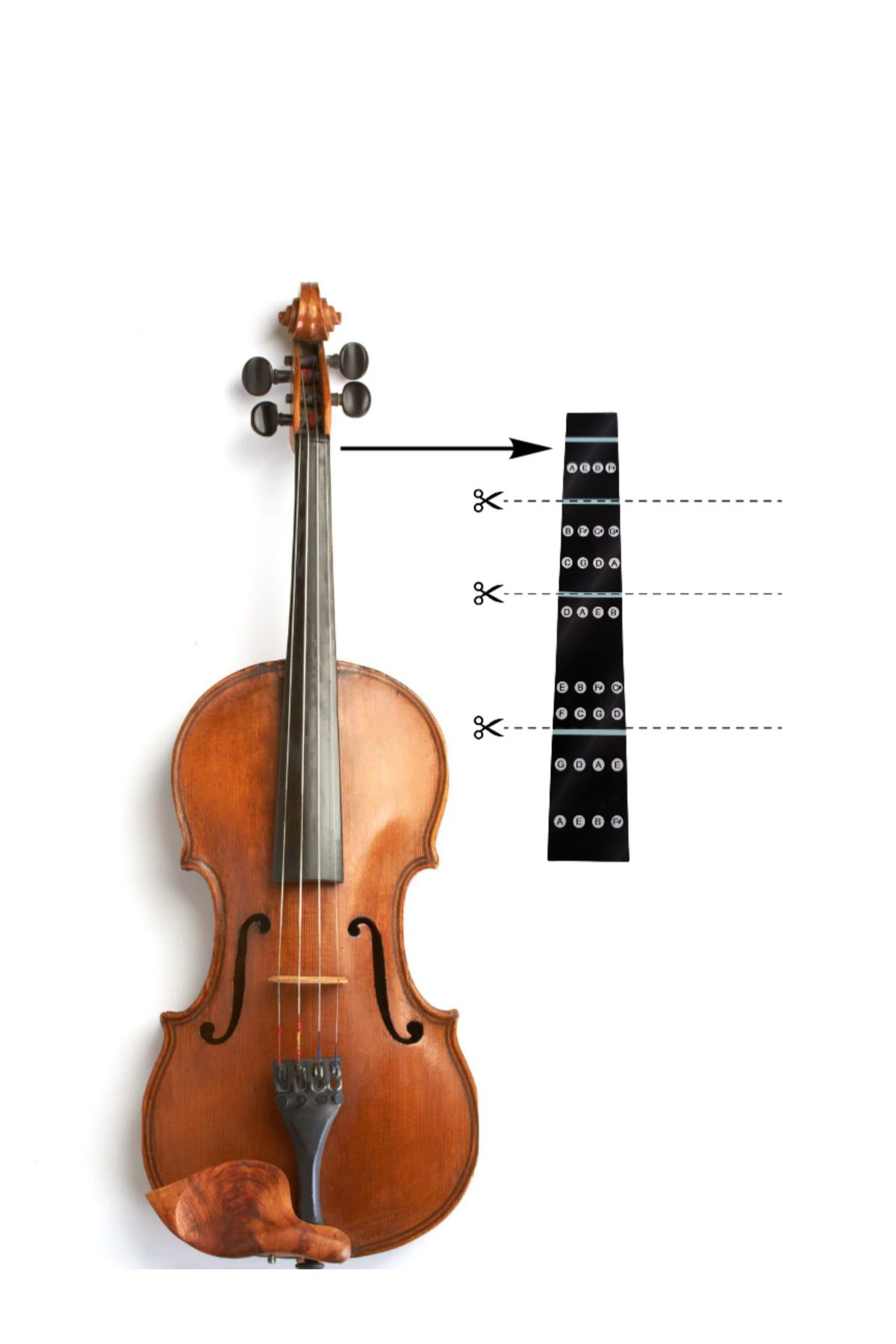 Salvador Keman Nota Stickerı 3 Adet