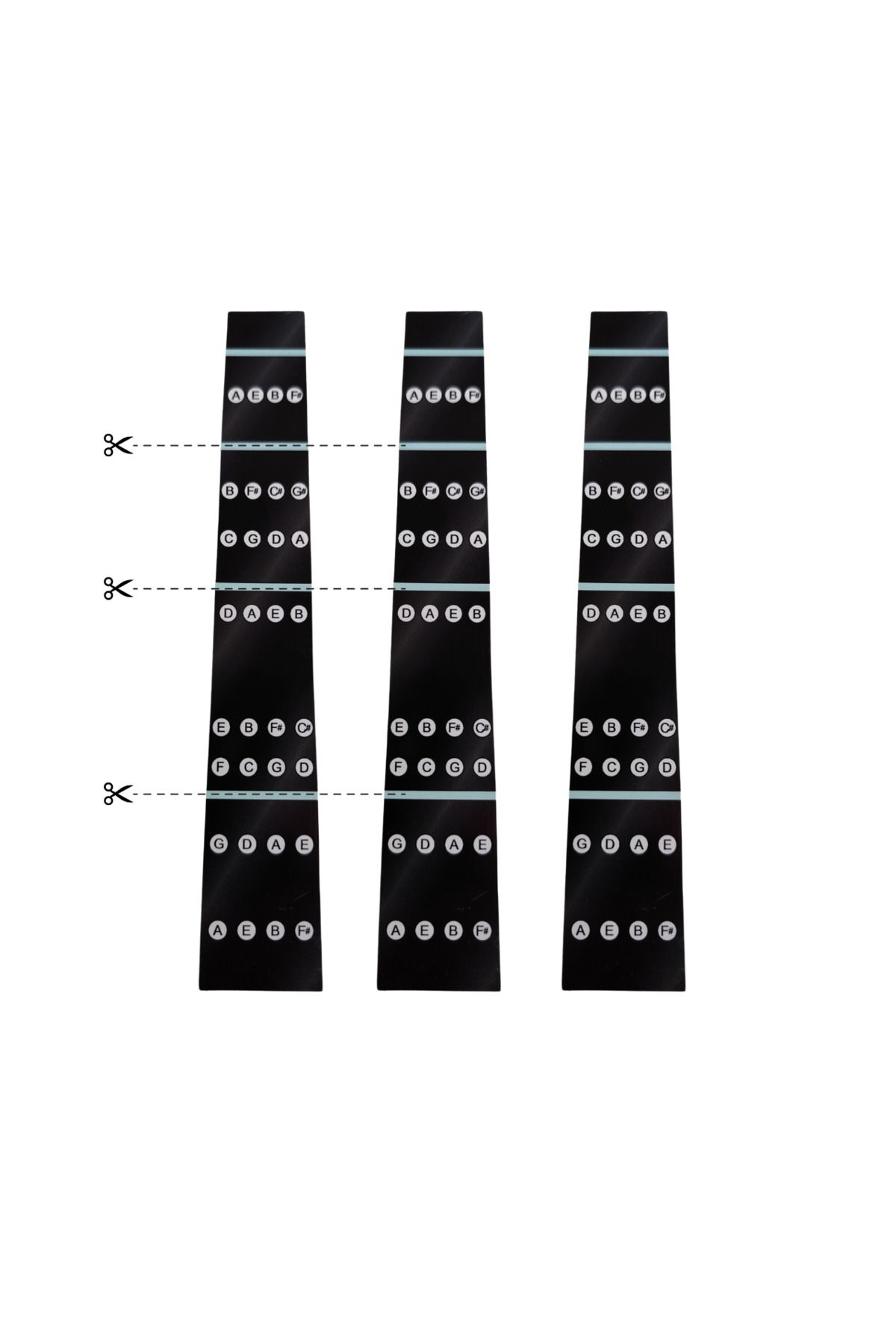 Salvador Keman Nota Stickerı 3 Adet