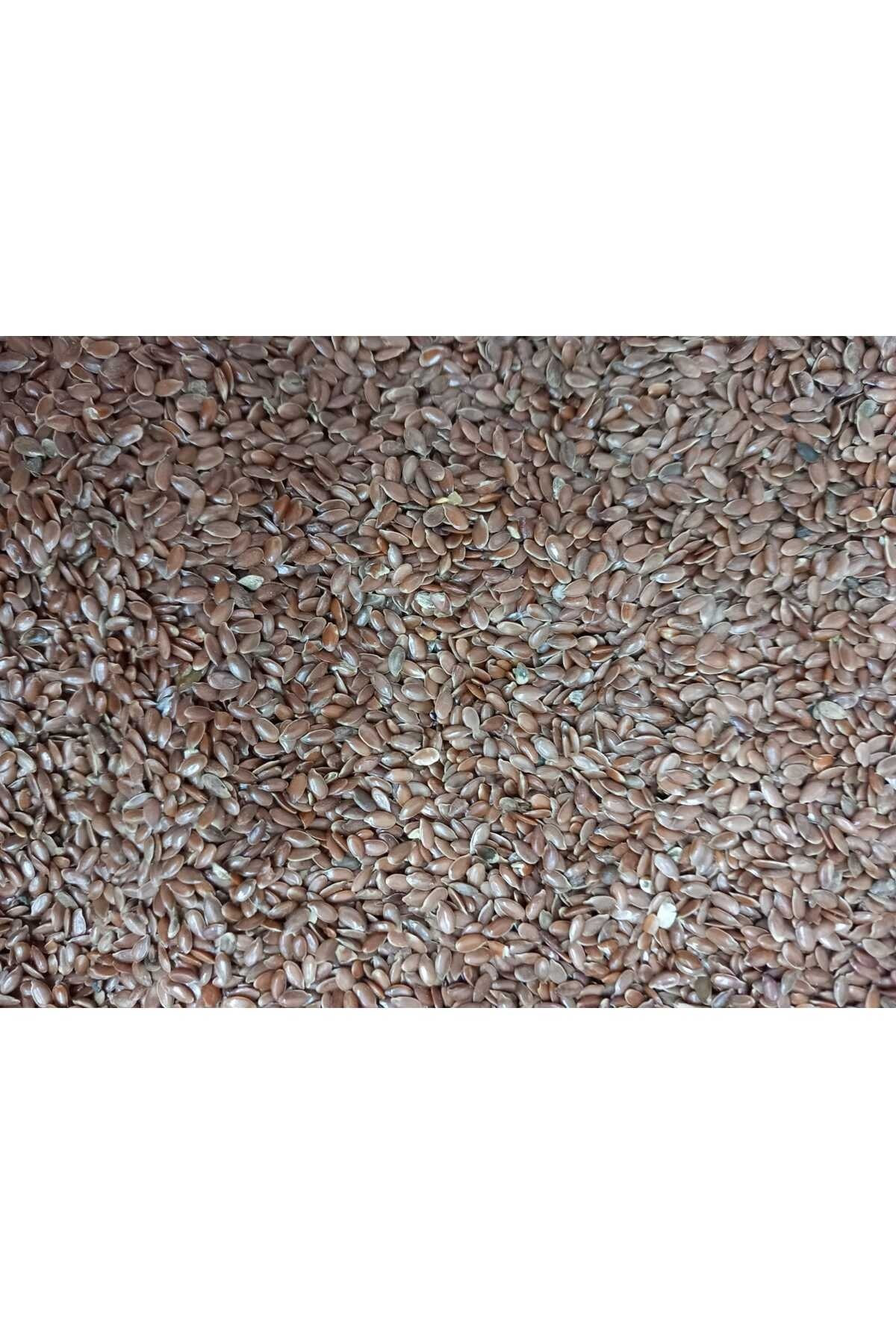 KETEN TOHUMU 100 GR