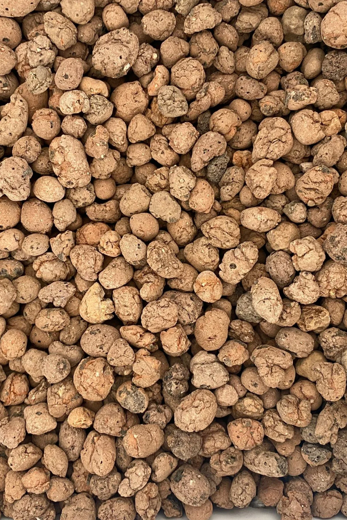 Kil Bilyesi Orkide Yetiştirme Ortamı 8-16 mm 3 Litre Fiyatı, Yorumları ve Özellikleri