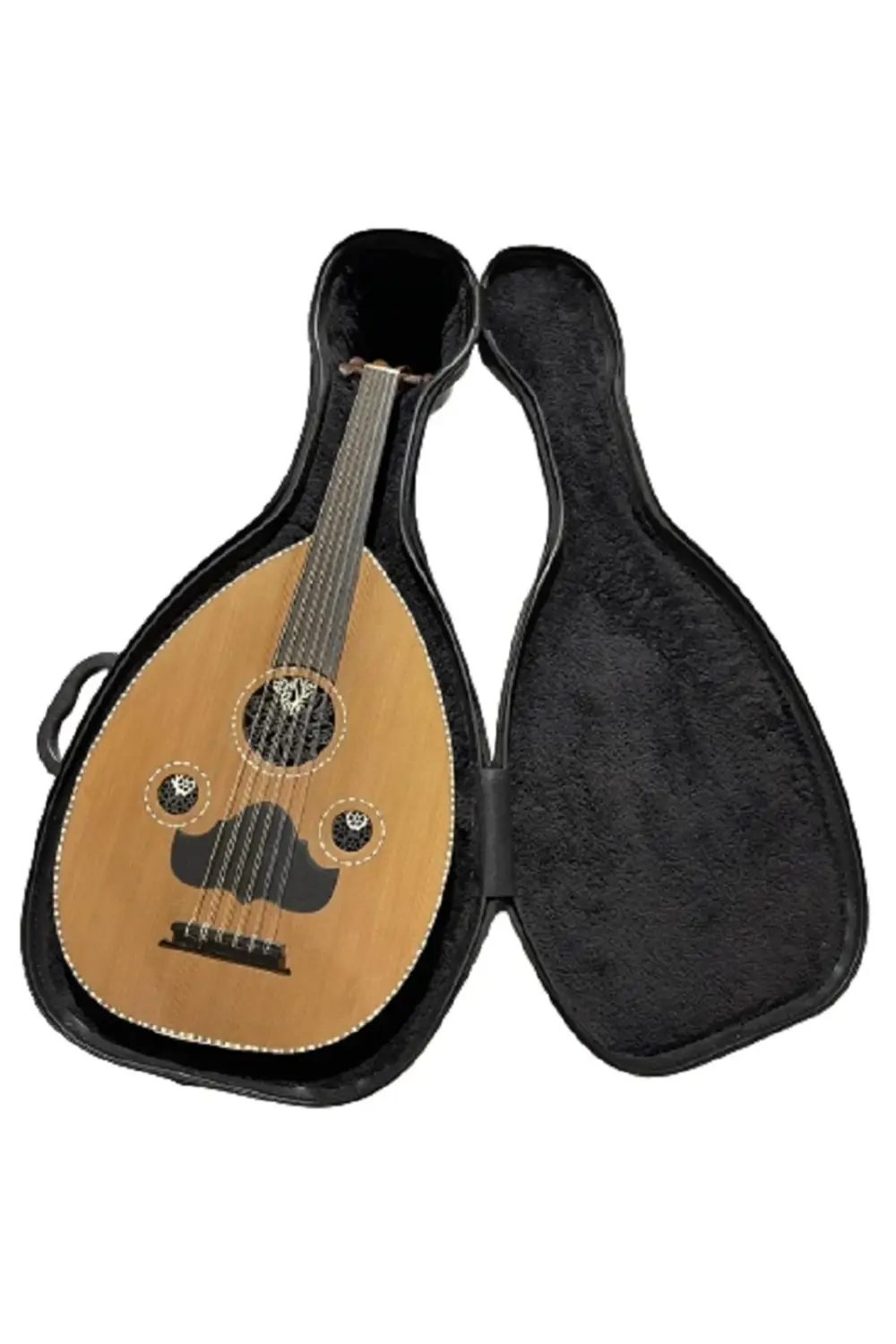 Kilitli Hard Case Ud Kılıfı Tam Korunaklı Profesyonel