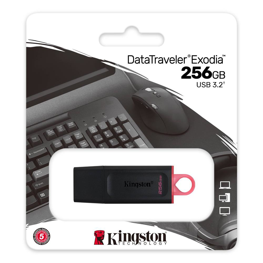 Kingston DTX-256GB 256GB USB3.2 Gen 1 DataTraveler Exodia (Black