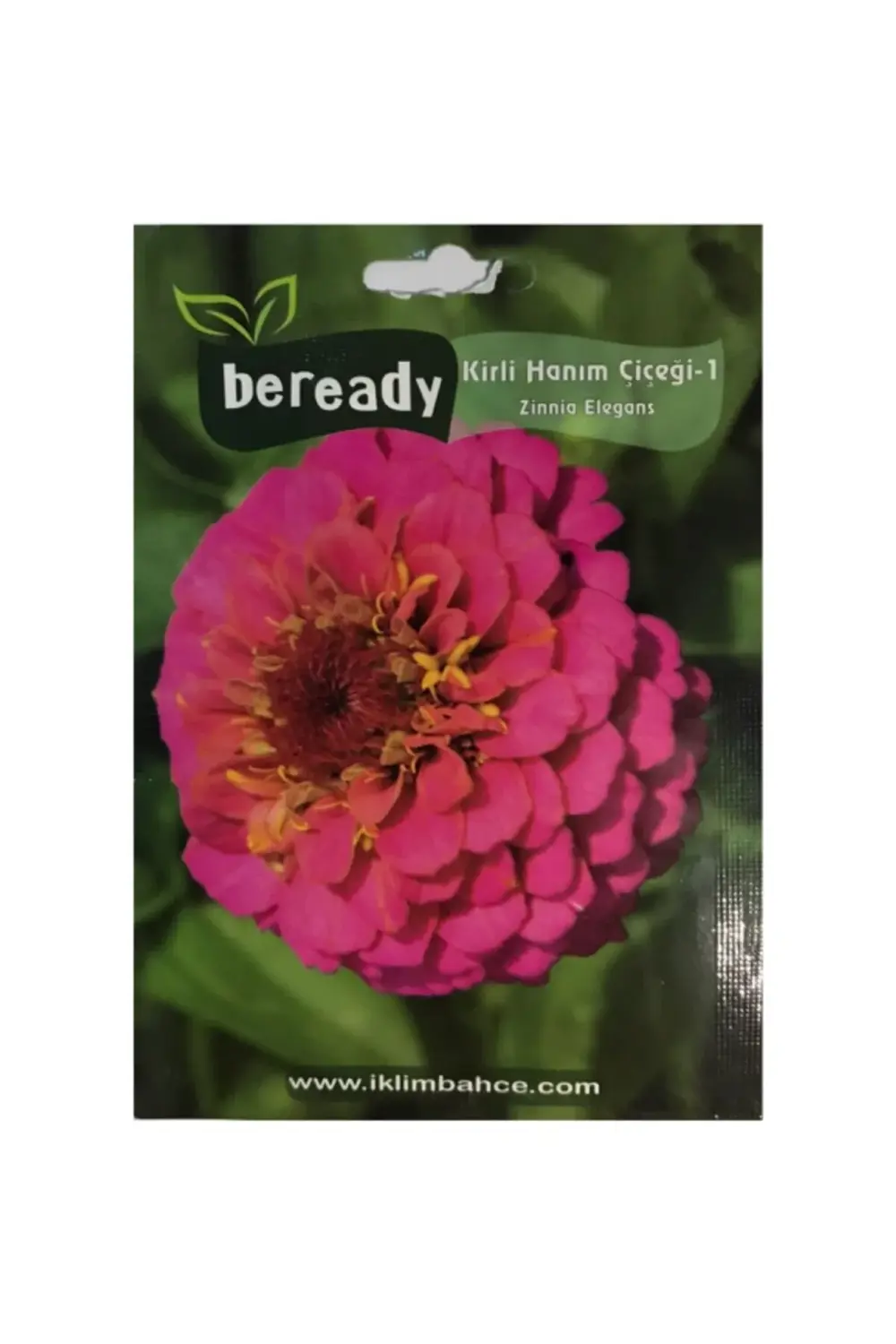 Kirli Hanım Çiçeği Tohumu