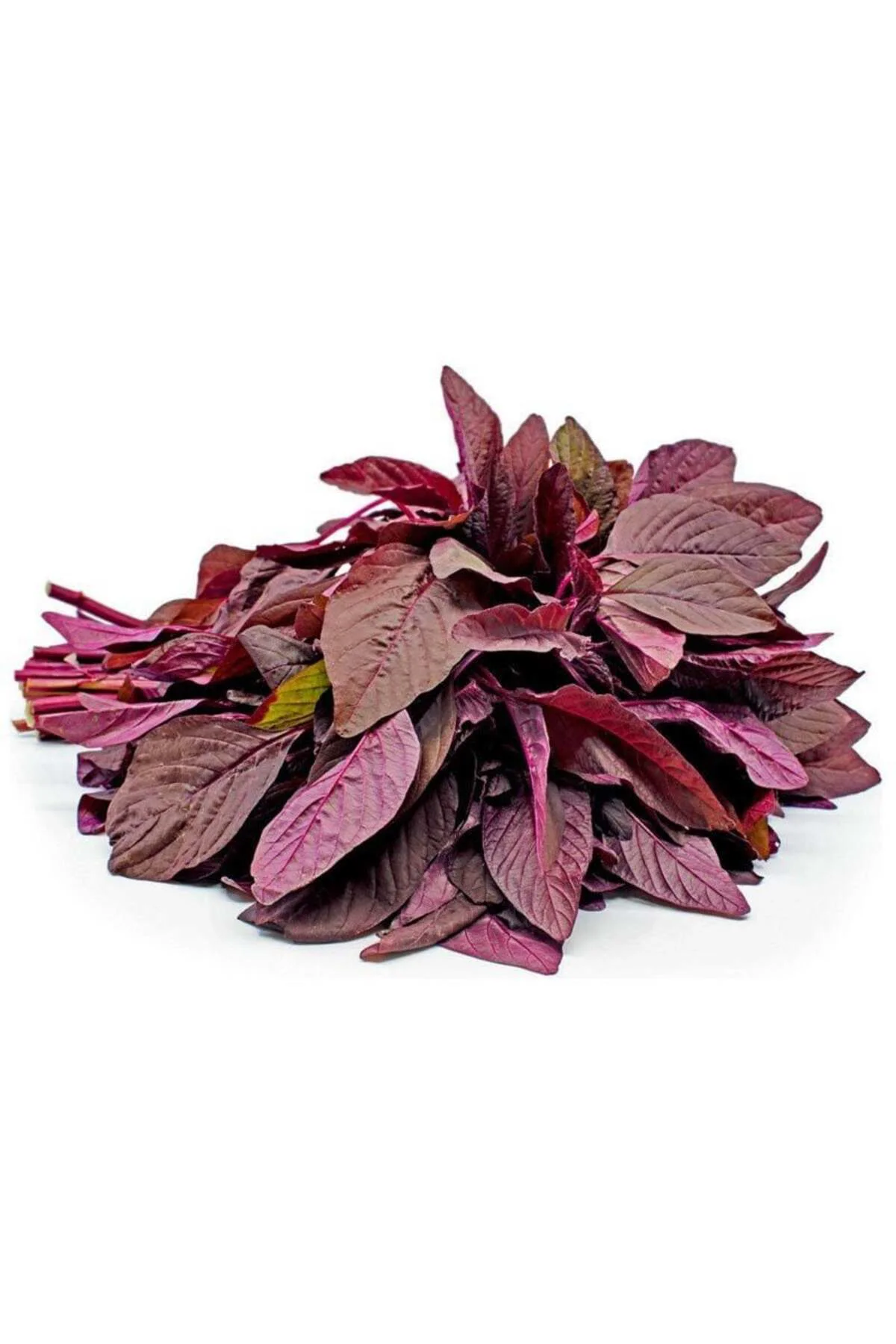 Kırmızı amaranth tohumu geleneksel şifalı amaranthus red garnet Fiyatı, Yorumları ve Özellikleri