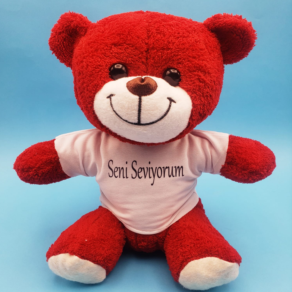 Evimdeyokyok Kırmızı Ayıcık Seni Seviyorum Tişörtlü Tdrtr