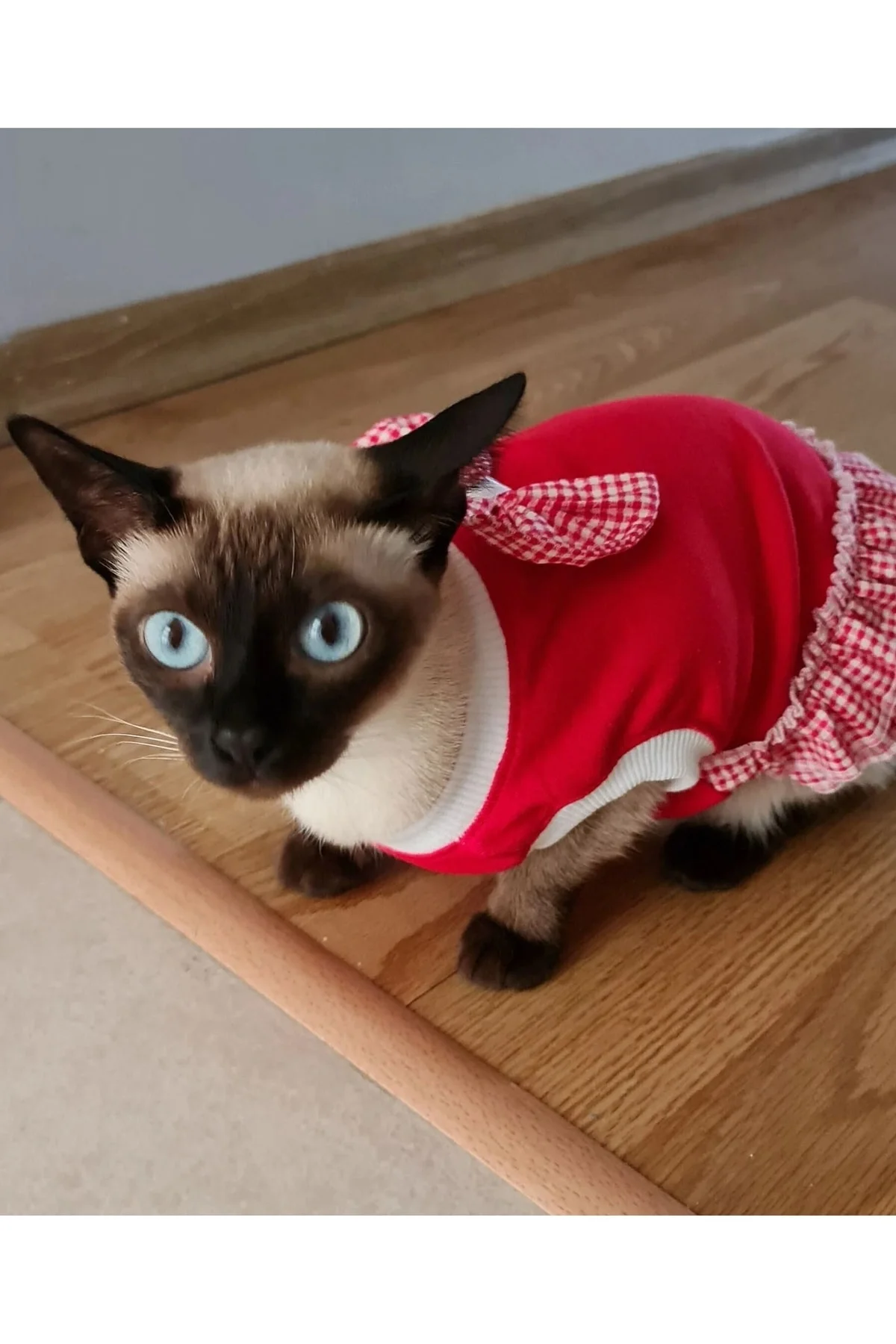 Kırmızı Beyaz Papyonlu Dişi Kedi Köpek Kıyafeti Elbisesi Small/s/