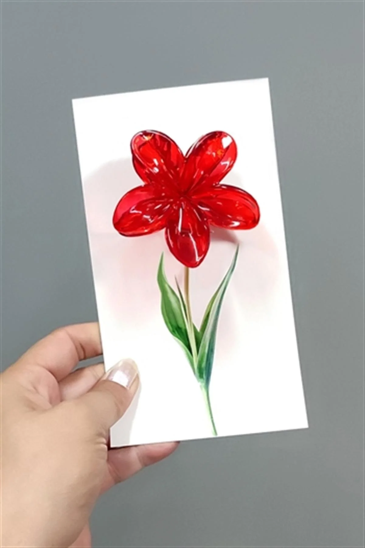 Kırmızı Lotus Toka 6 cm (Kartsız) Fiyatı, Yorumları ve Özellikleri
