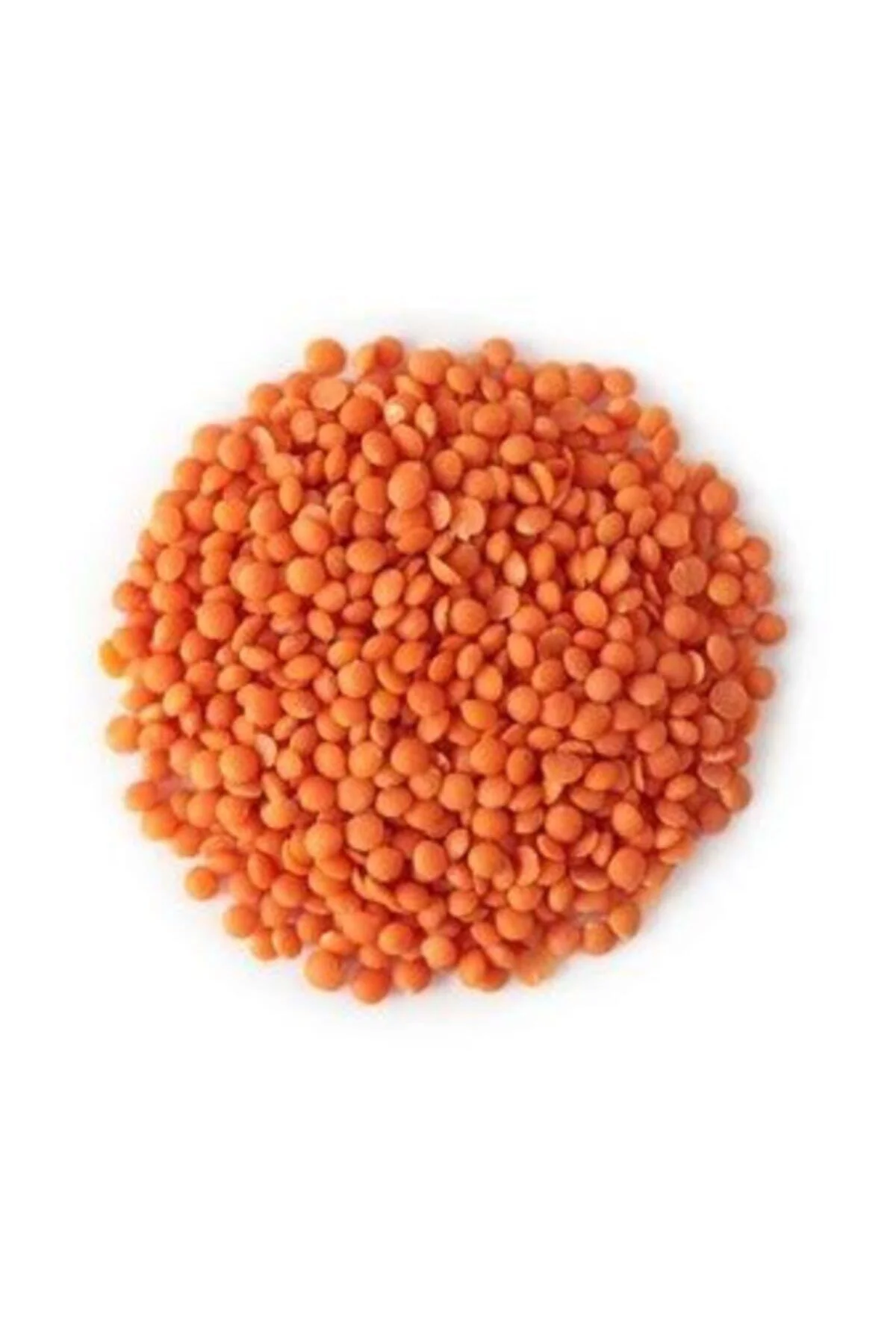 Kırmızı Mercimek 1 Kg Kırmızı Mercimek 1 Kg