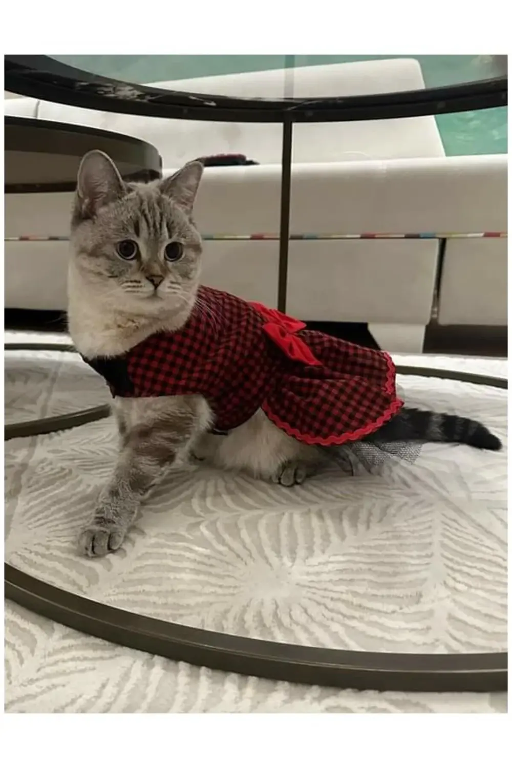 Kırmızı Siyah Kareli Papyonlu Dişi Kedi Köpek Kıyafeti Elbisesi