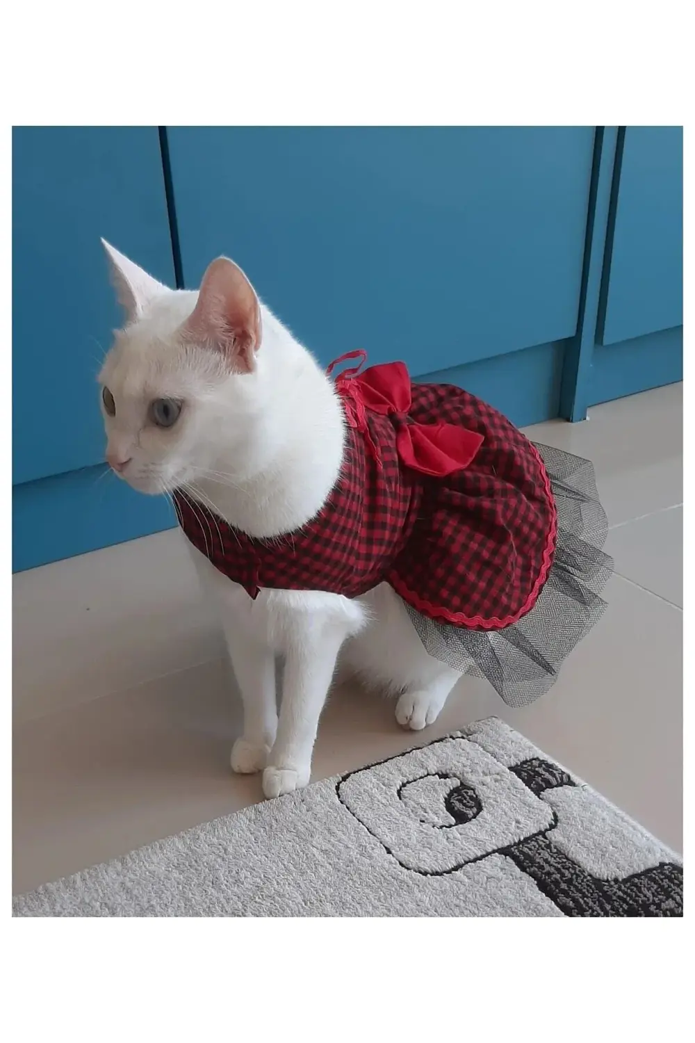 Kırmızı Siyah Kareli Papyonlu Dişi Kedi Köpek Kıyafeti Elbisesi