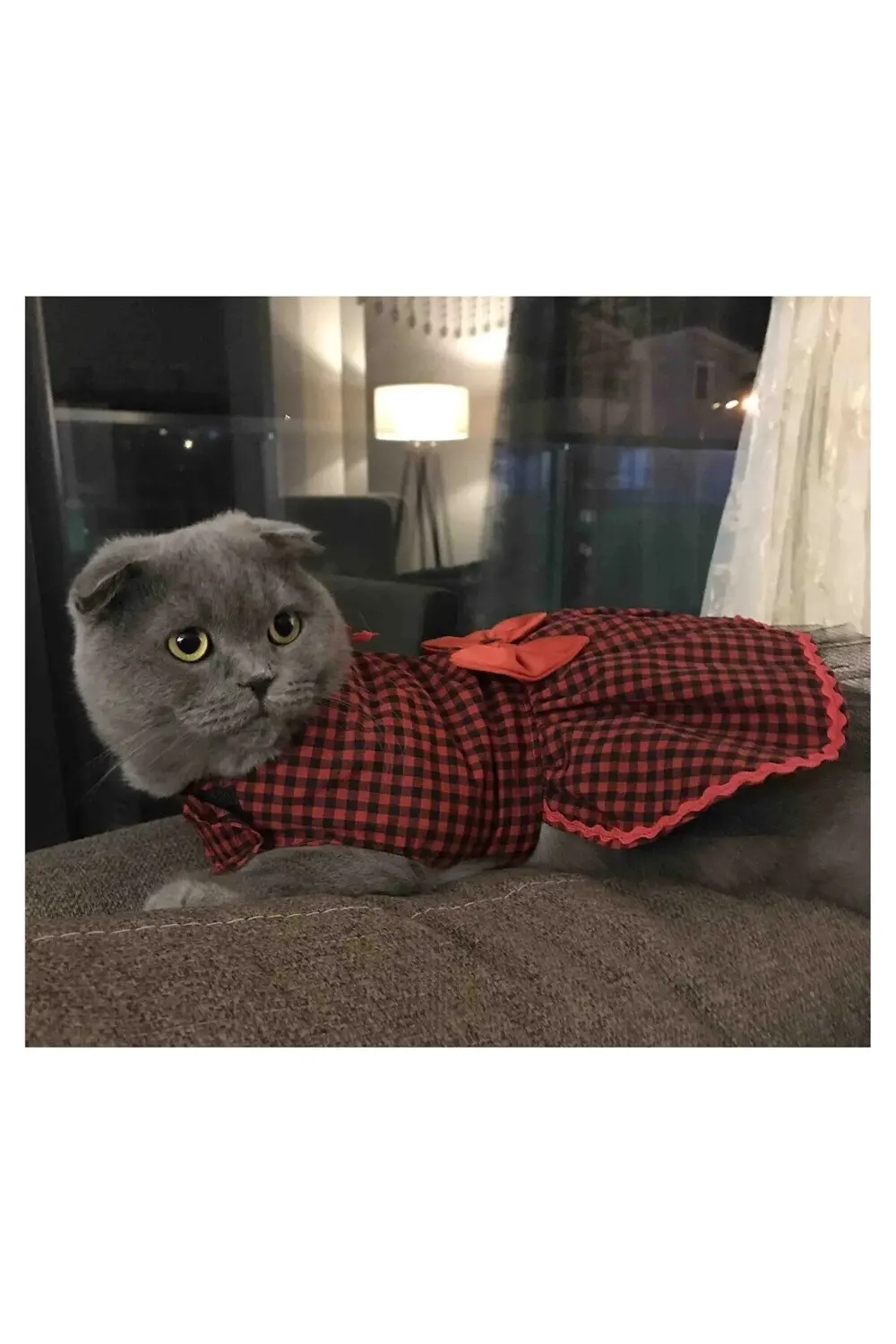 Kırmızı Siyah Kareli Papyonlu Dişi Kedi Köpek Kıyafeti Elbisesi