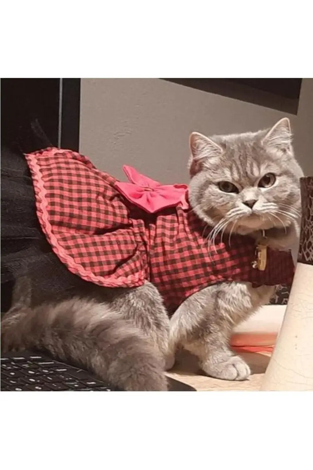 Kırmızı Siyah Kareli Papyonlu Dişi Kedi Köpek Kıyafeti Elbisesi