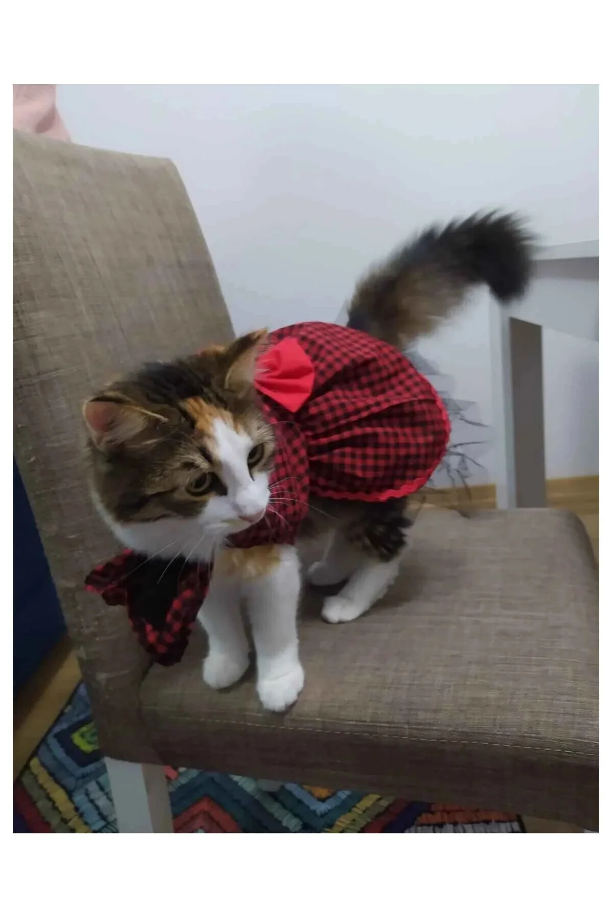 Kırmızı Siyah Kareli Kırmızı Papyonlu Dişi Kedi Köpek Kıyafeti El