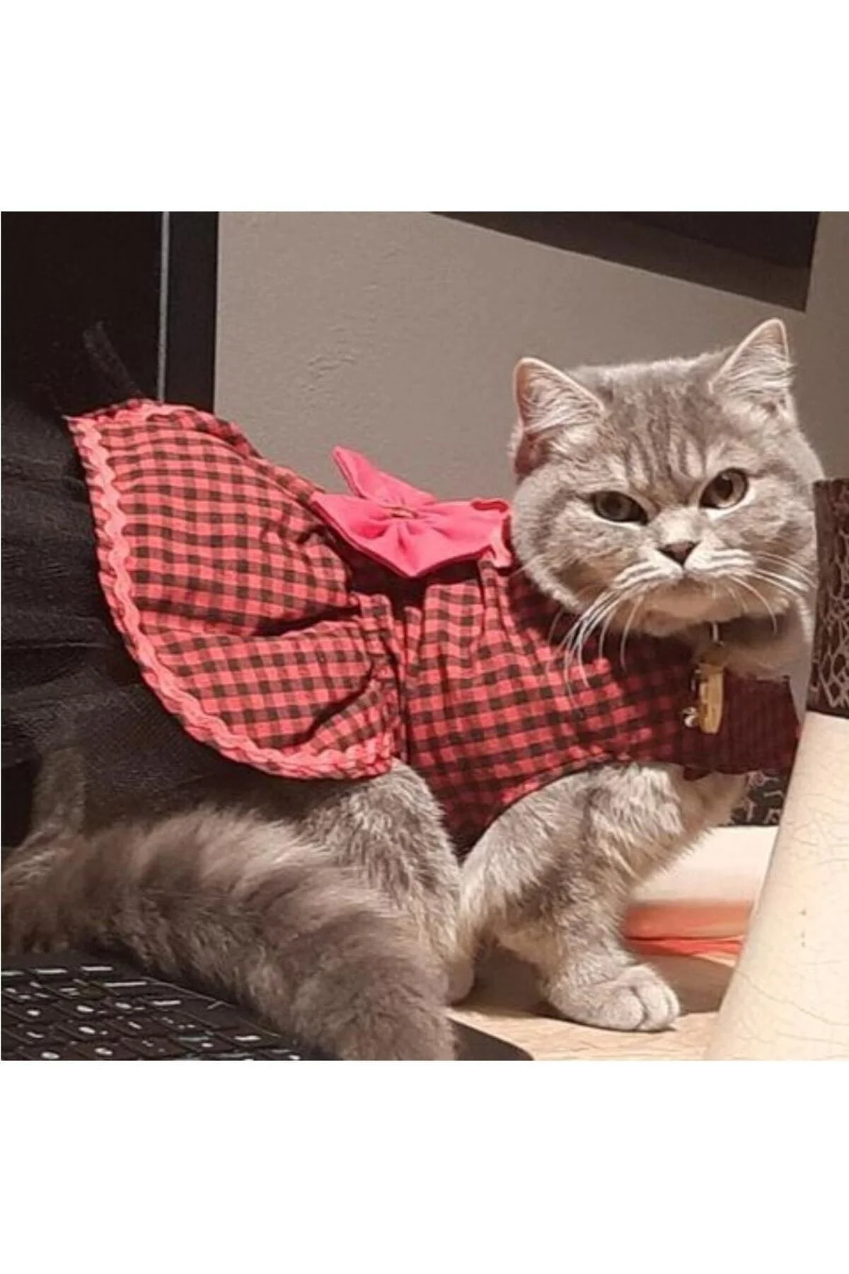 Kırmızı Siyah Kareli Kırmızı Papyonlu Dişi Kedi Köpek Kıyafeti El