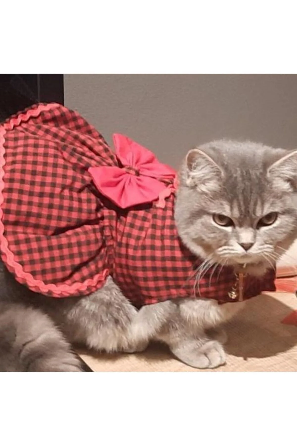 Kırmızı Siyah Kareli Kırmızı Papyonlu Dişi Kedi Köpek Kıyafeti El