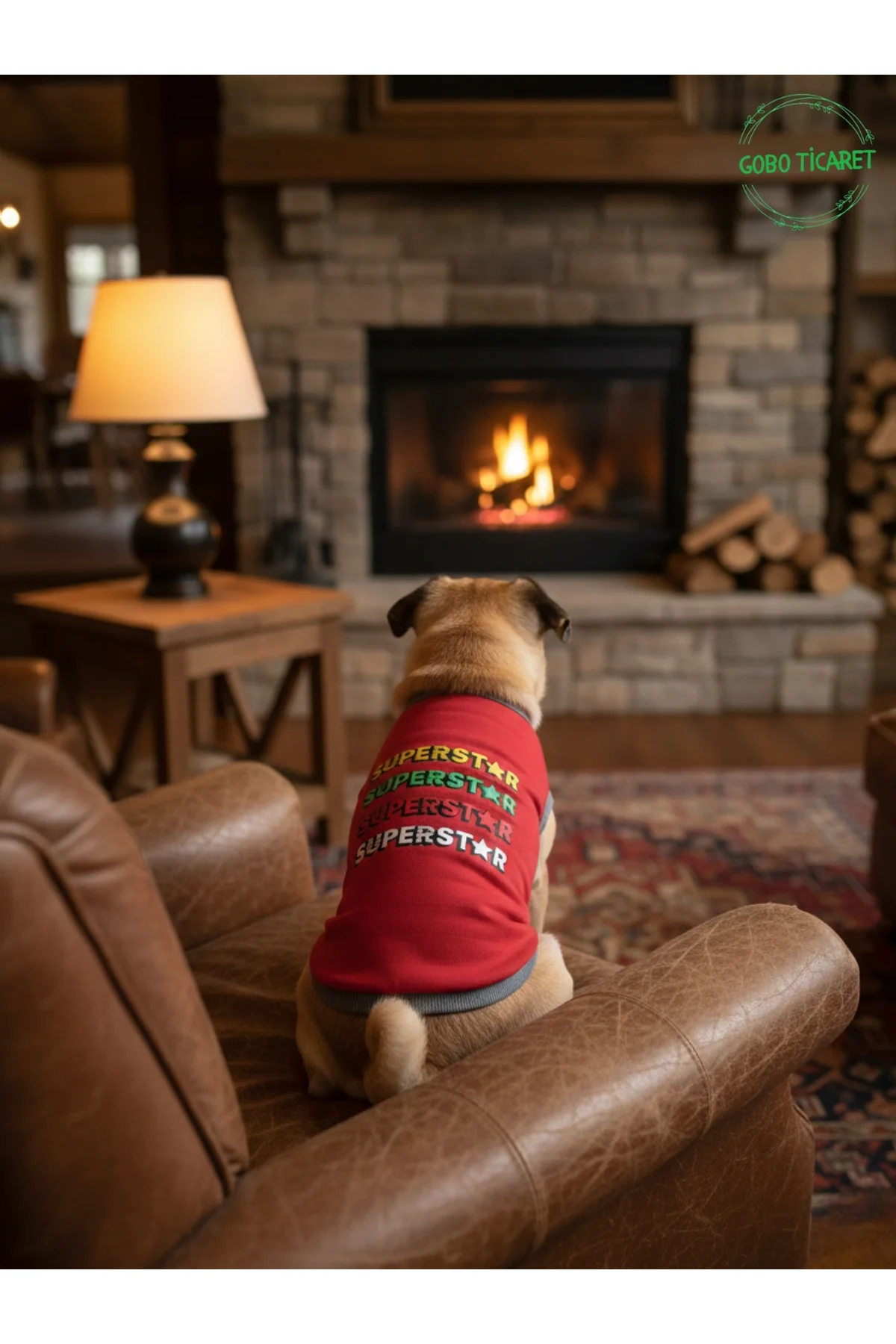 Kırmızı SUPERSTAR Yazılı Kedi ve Köpek Kıyafeti Tişörtü Elbisesi 