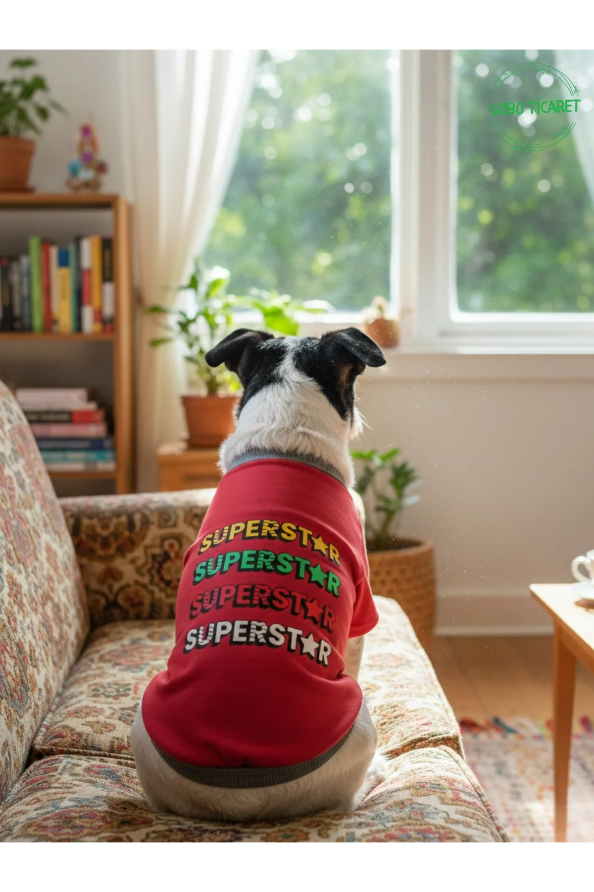 Kırmızı SUPERSTAR Yazılı Kedi ve Köpek Kıyafeti Tişörtü Elbisesi 