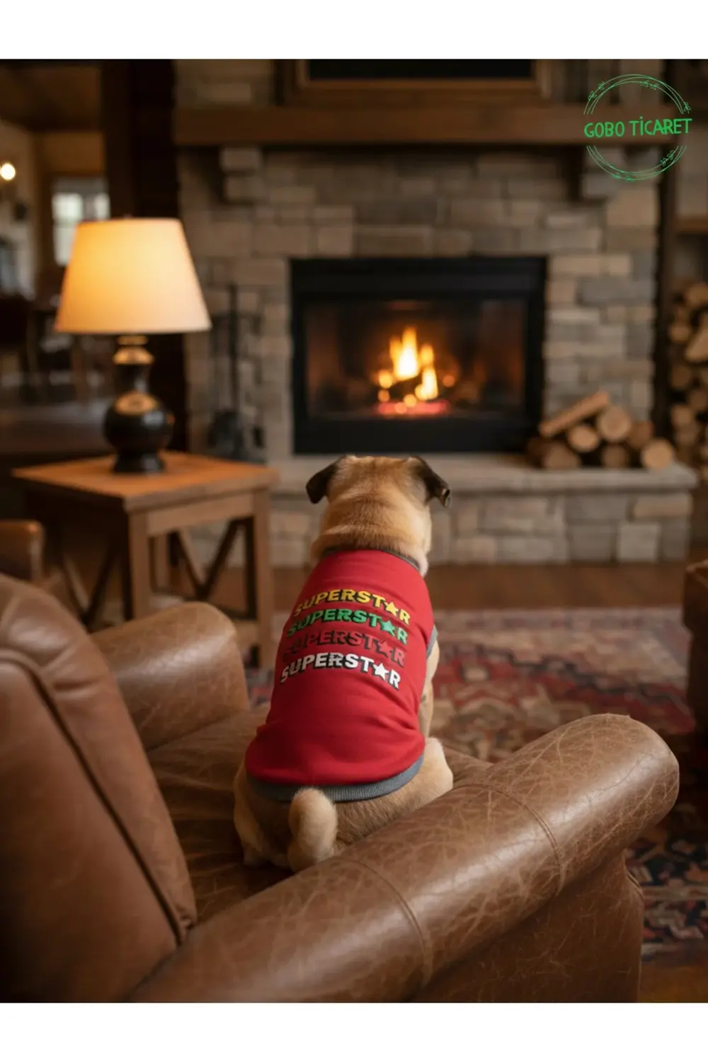 Kırmızı SUPERSTAR Yazılı Kedi ve Köpek Kıyafeti Tişörtü Elbisesi