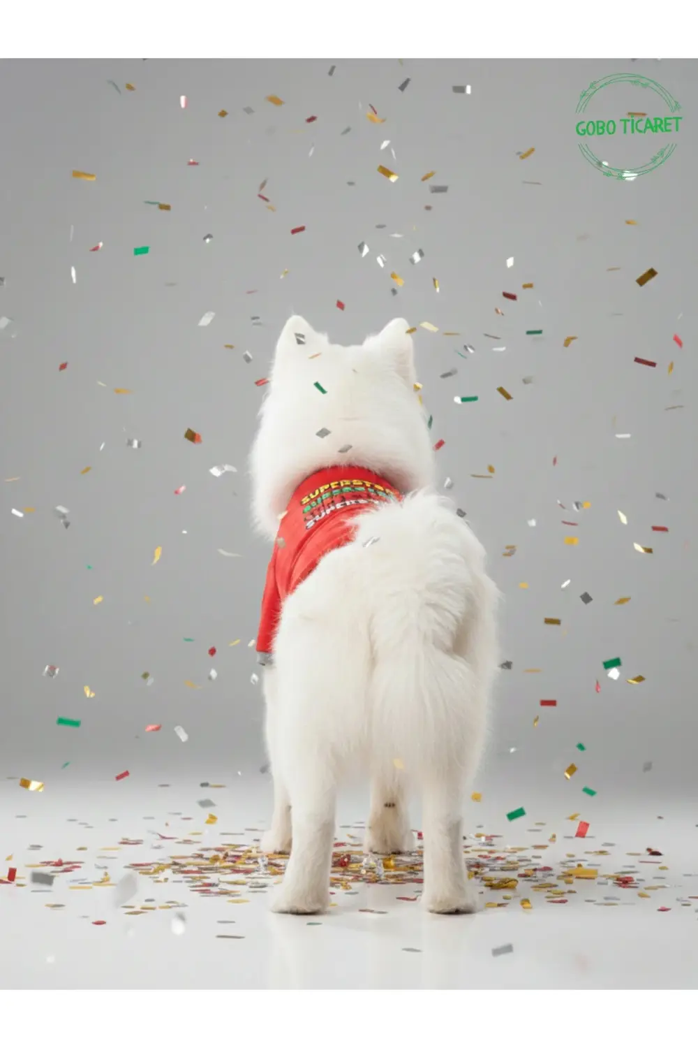 Kırmızı SUPERSTAR Yazılı Kedi ve Köpek Kıyafeti Tişörtü Elbisesi