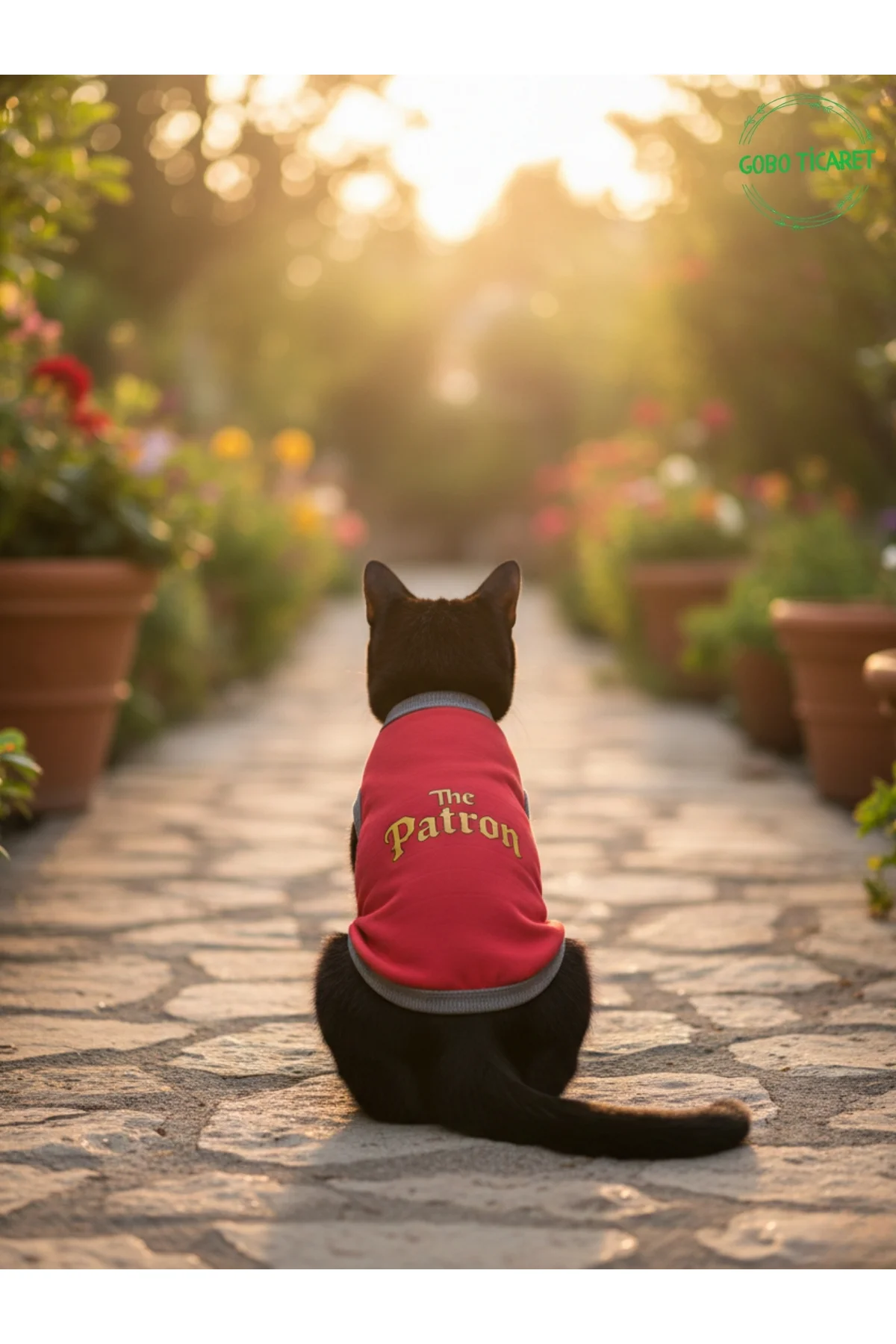 Kırmızı The Patron Yazılı Kedi ve Köpek Kıyafeti Tişörtü Elbisesi