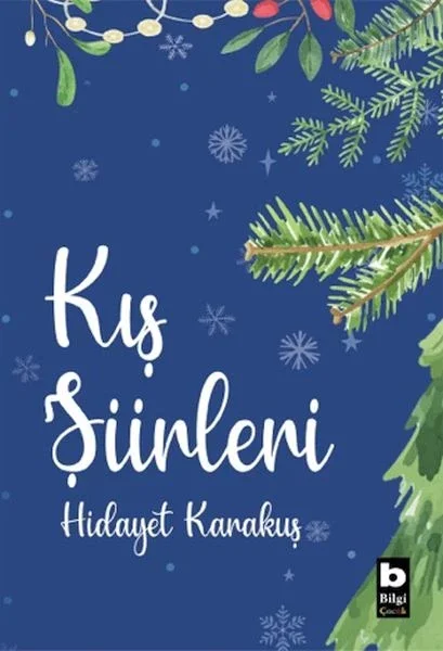 Kış Şiirleri Fiyatı, Yorumları ve Özellikleri