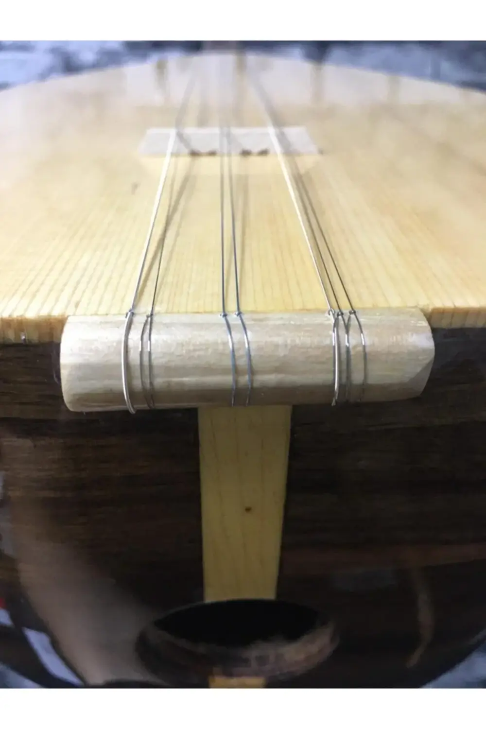 Kısa Sap Ceviz Ağacı Başlangıç Eğitimlik Öğrenci Bağlaması