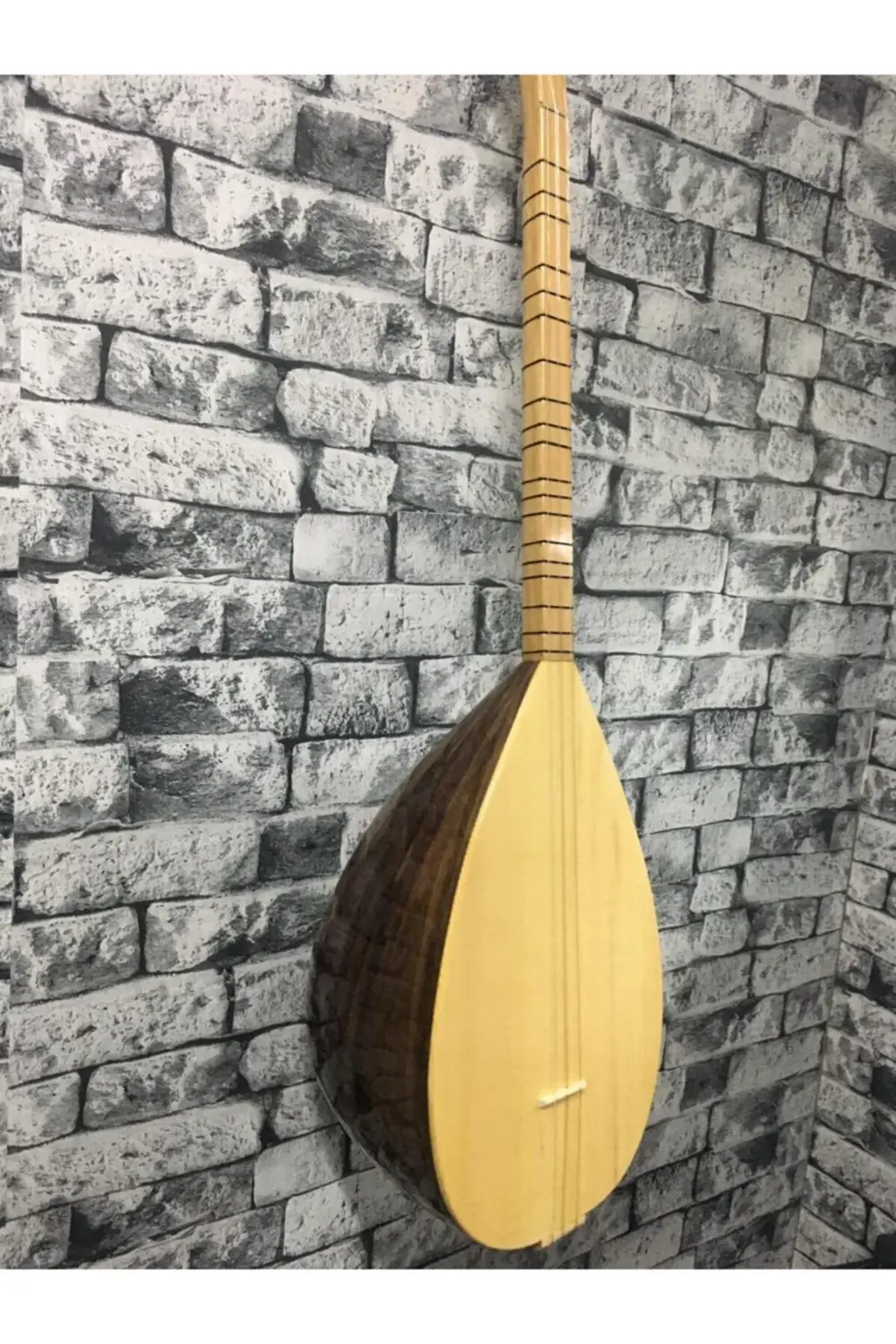 Kısa Sap Ceviz Ağacı Başlangıç Eğitimlik Öğrenci Bağlaması