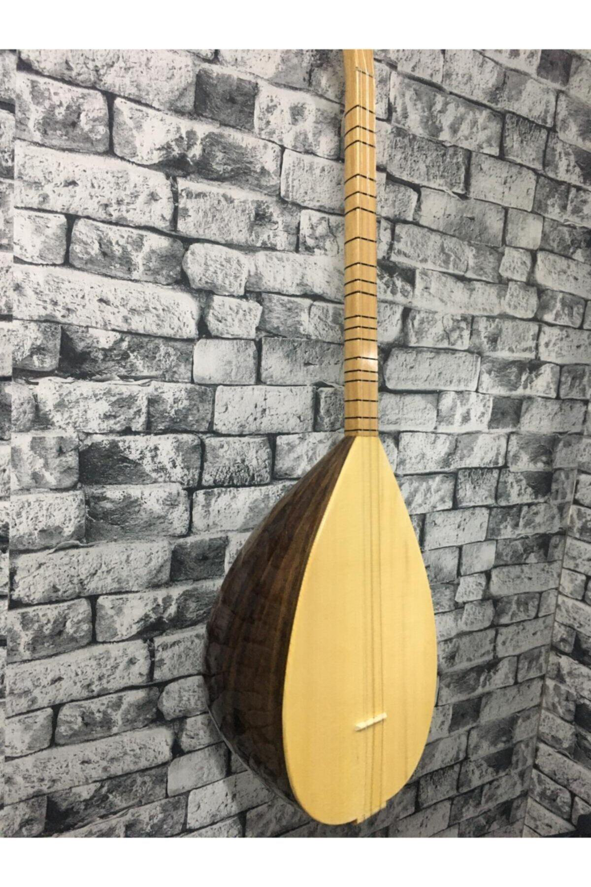 Kısa Sap Ceviz Ağacı Başlangıç Eğitimlik Öğrenci Bağlaması