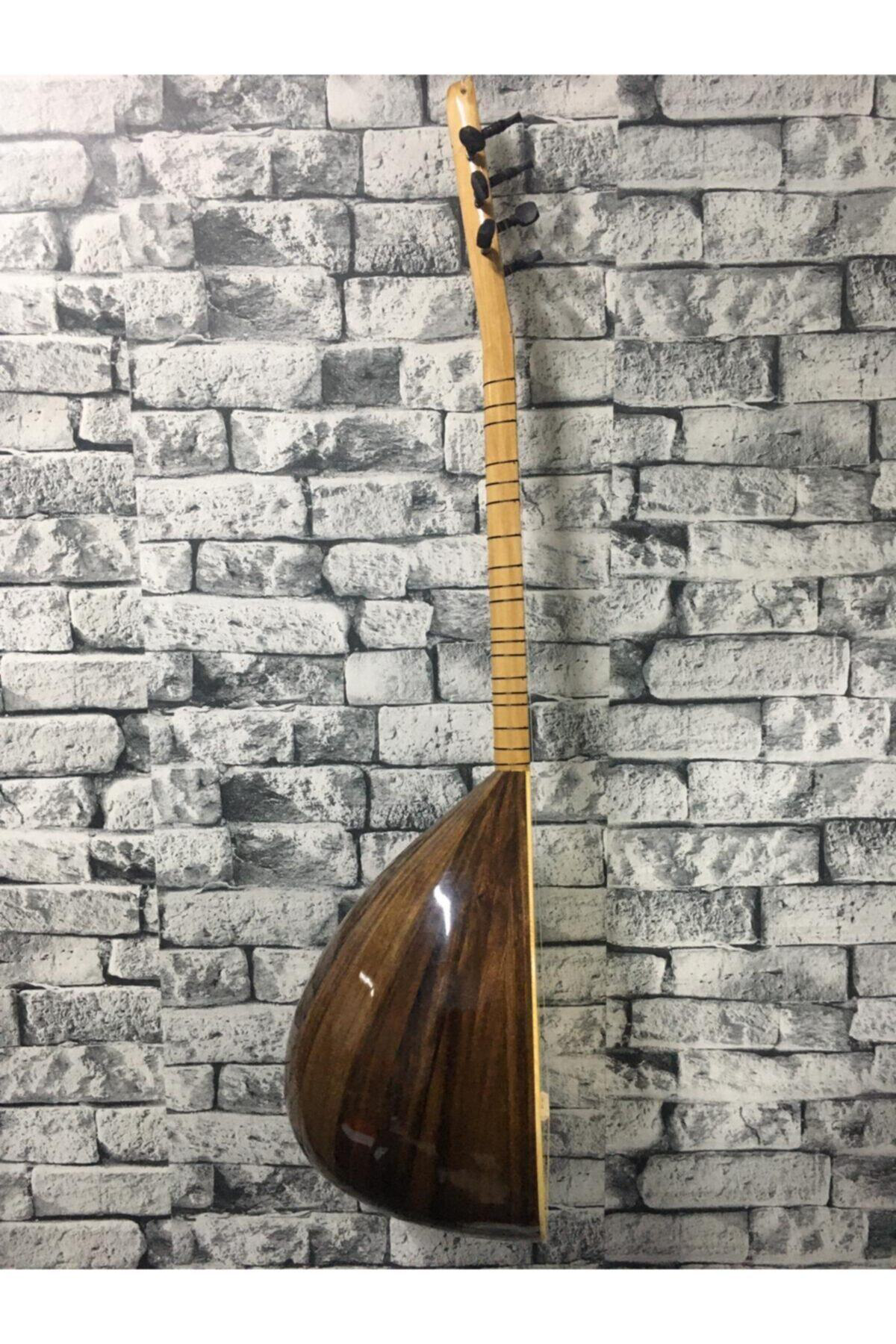 Kısa Sap Ceviz Ağacı Başlangıç Eğitimlik Öğrenci Bağlaması