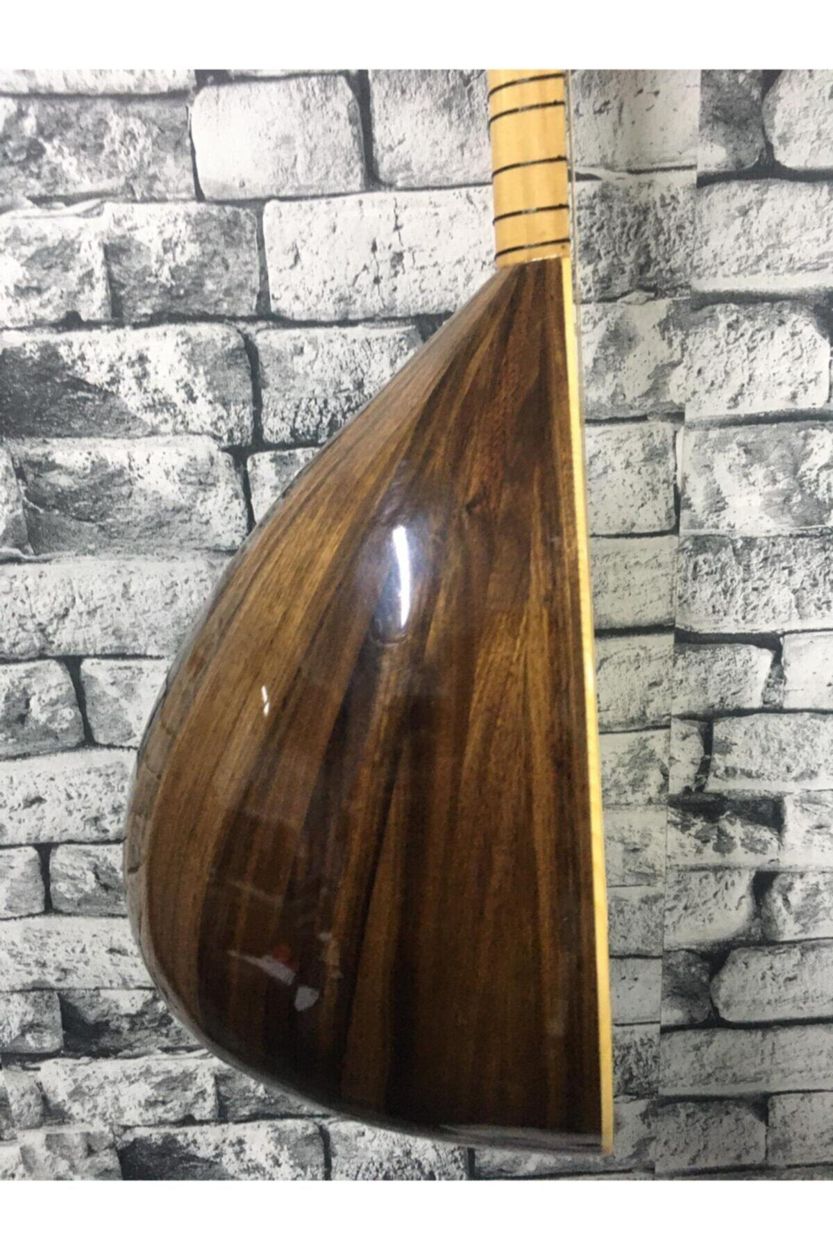 Kısa Sap Ceviz Ağacı Başlangıç Eğitimlik Öğrenci Bağlaması