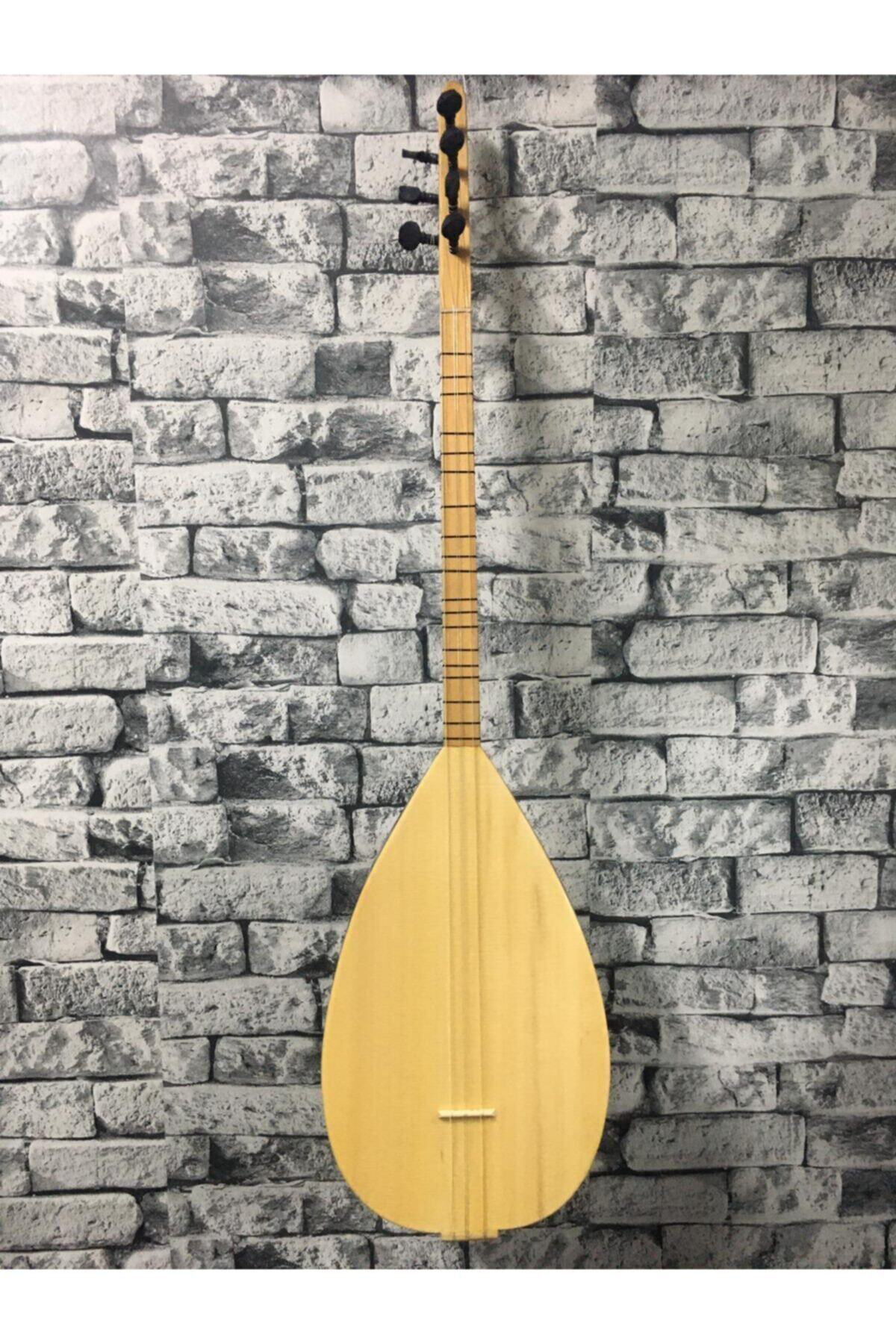 Kısa Sap Ceviz Ağacı Başlangıç Eğitimlik Öğrenci Bağlaması