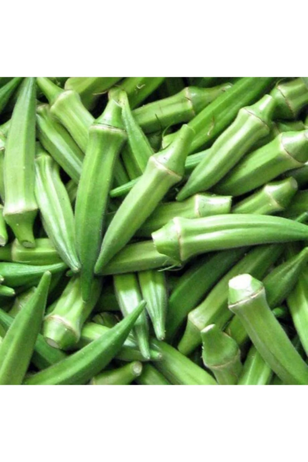Kısa Tüysüz Bamya Tohumu / 10 Gram