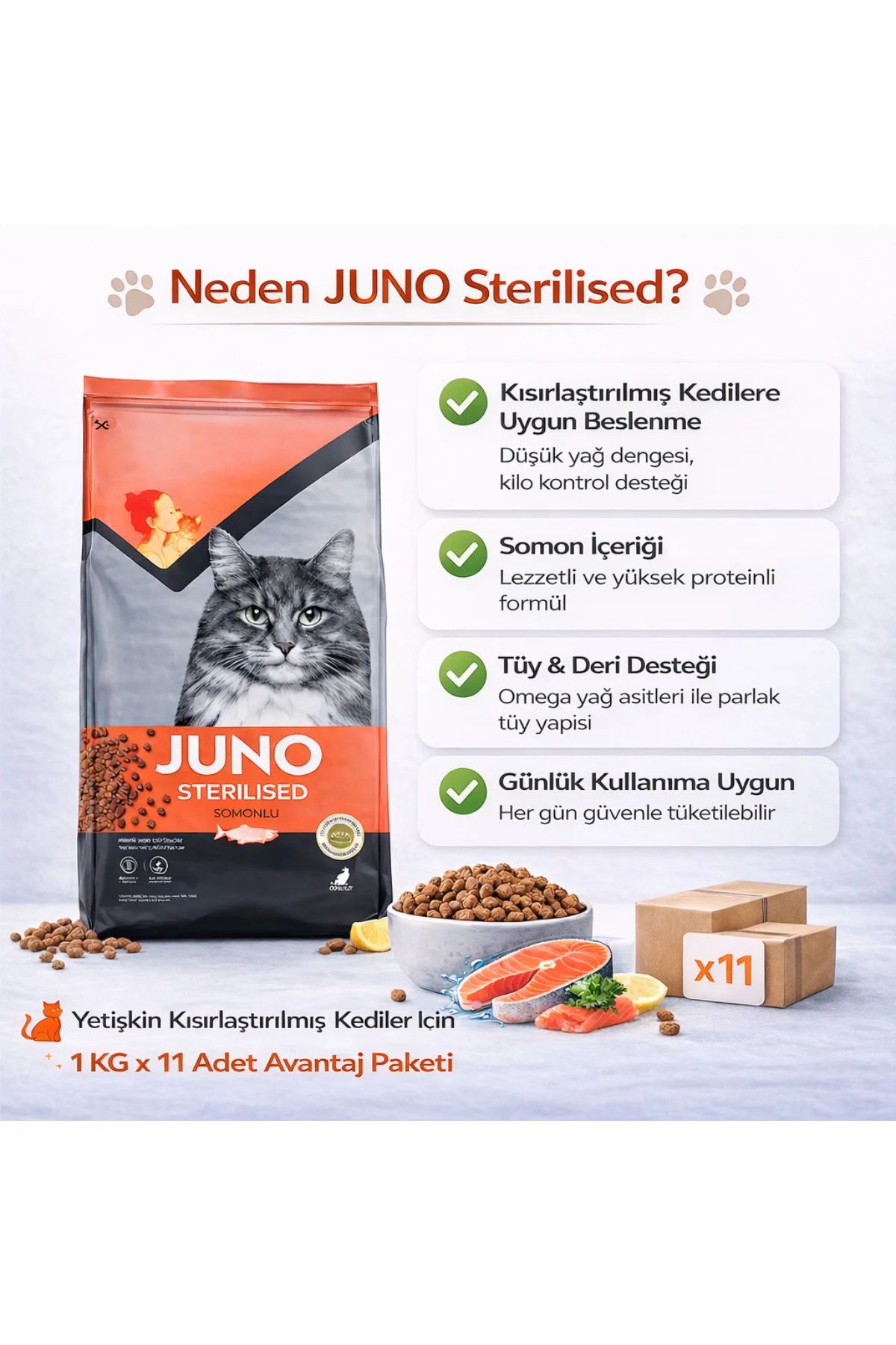 Kısırlaştırılmış Kedi Maması Somonlu 1 KG x 11 Adet Avantaj Paket
