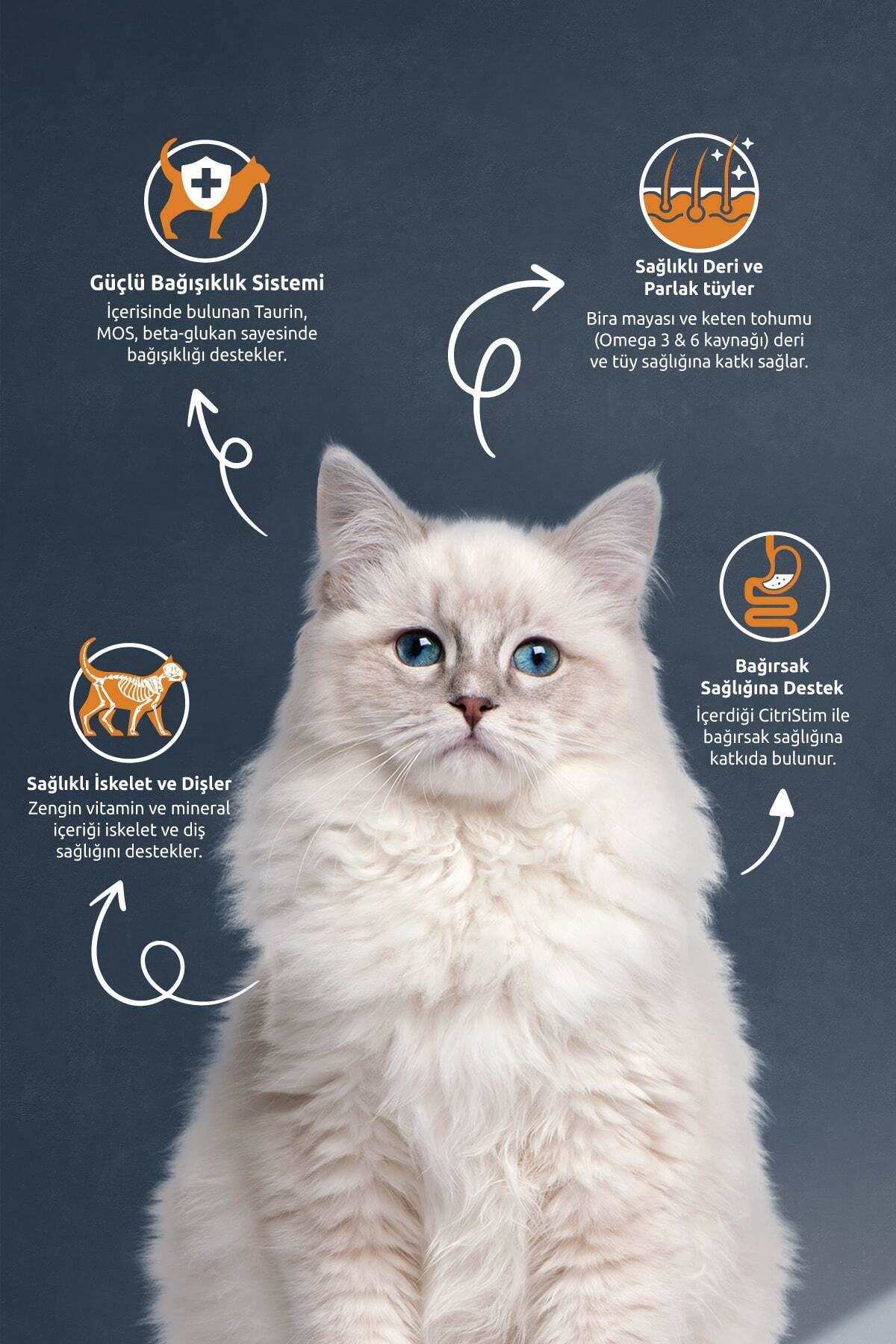 Kısırlaştırılmış Kedi Maması 15kg