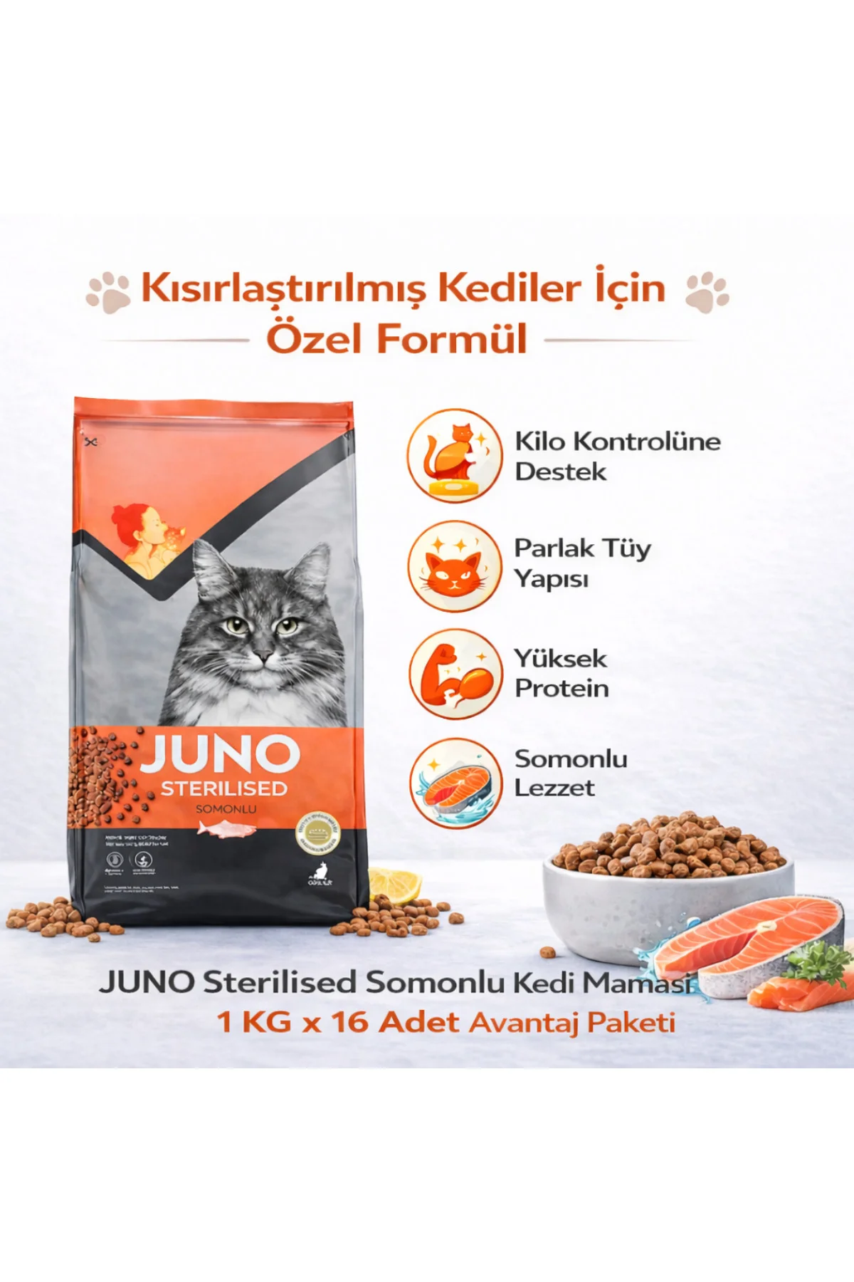 Kısırlaştırılmış Kedi Maması Somonlu 1 KG x 16 Adet Avantaj Paket
