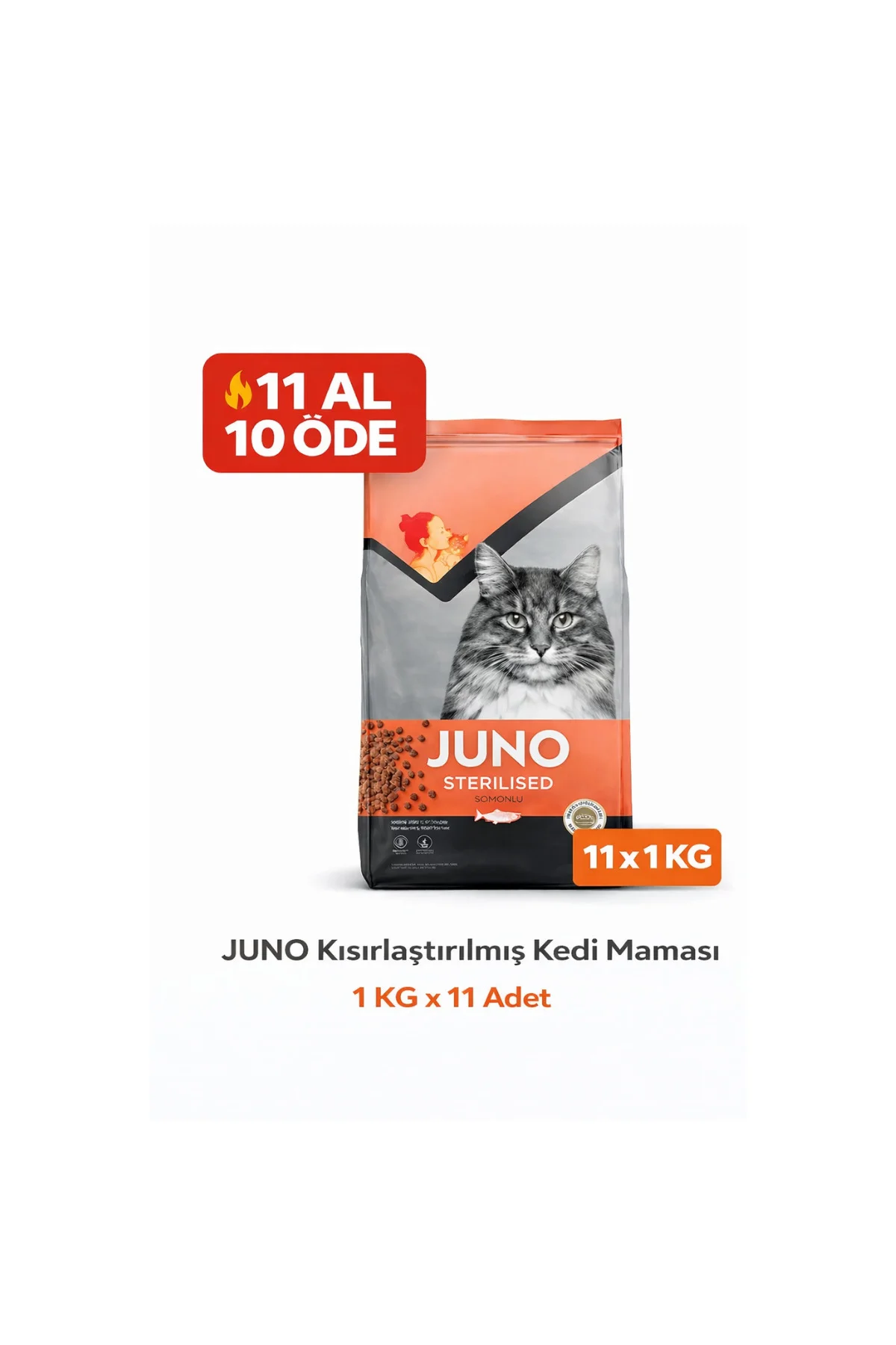Kısırlaştırılmış Kedi Maması Somonlu 1 KG x 11 Adet Avantaj Paket