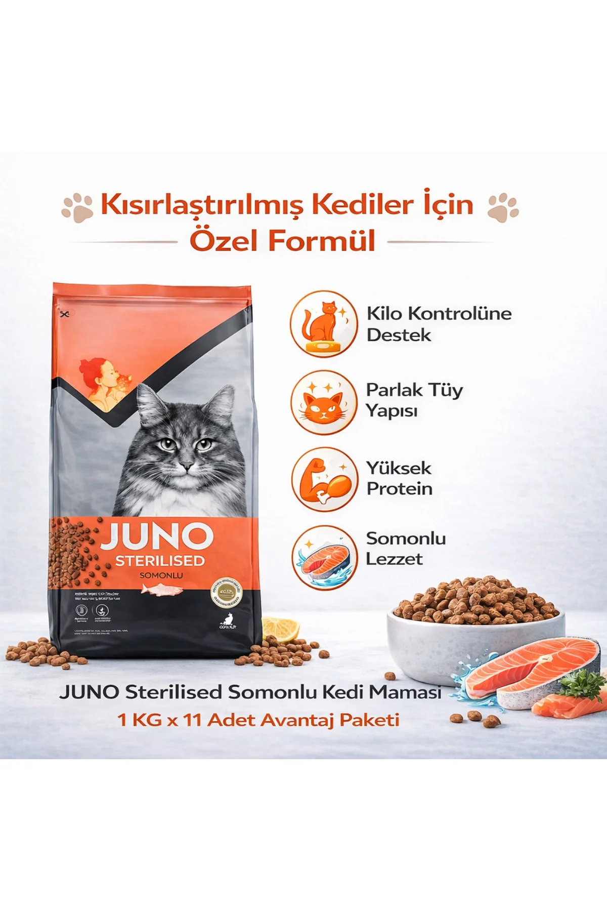 Kısırlaştırılmış Kedi Maması Somonlu 1 KG x 11 Adet Avantaj Paket