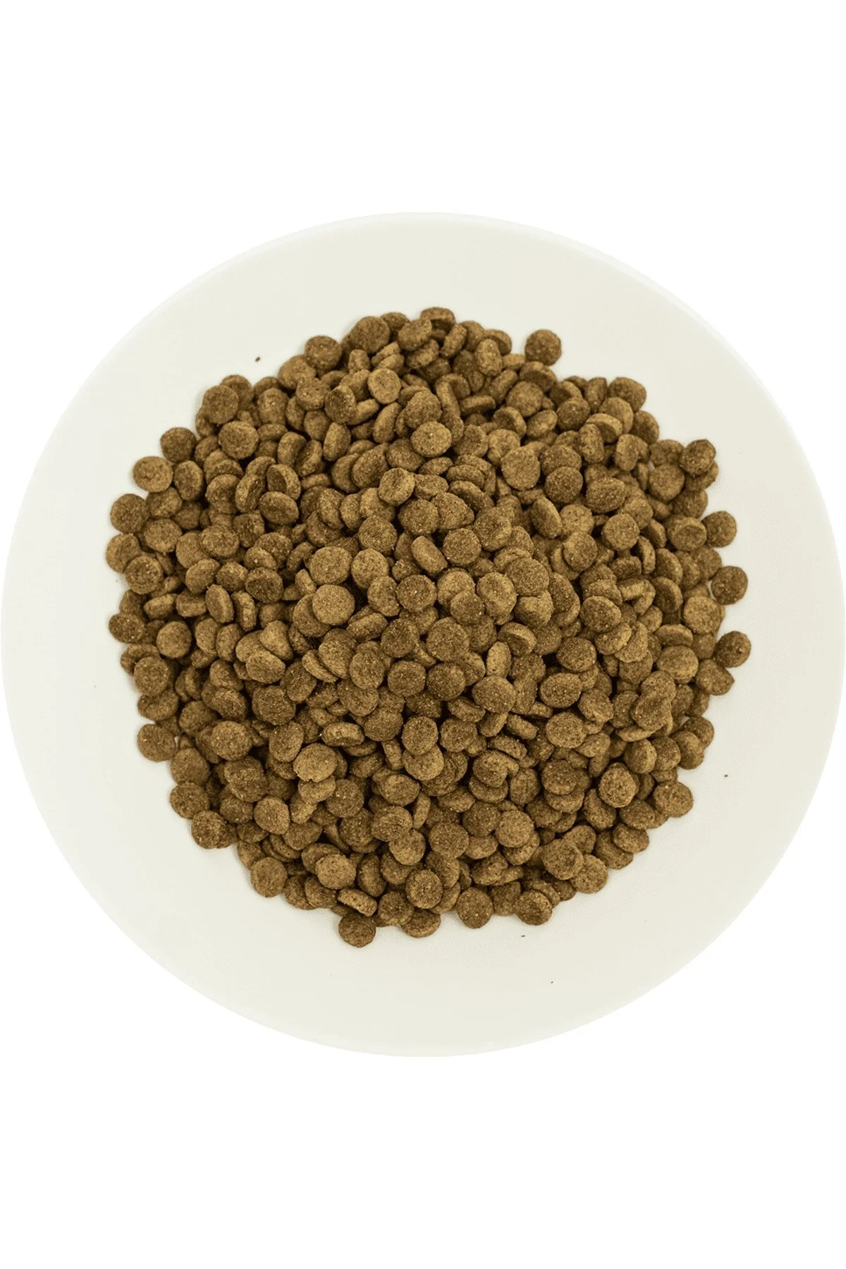 Kısırlaştırılmış Kediler İçin, Hipoalerjenik, Somon Balıklı Ve Karidesli Kuru Mama 15 kg Kısırlaştırılmış Kediler İçin, Hipoalerjenik, Somon Balıklı Ve Karidesli Kuru Mama 15 kg - Görsel 3