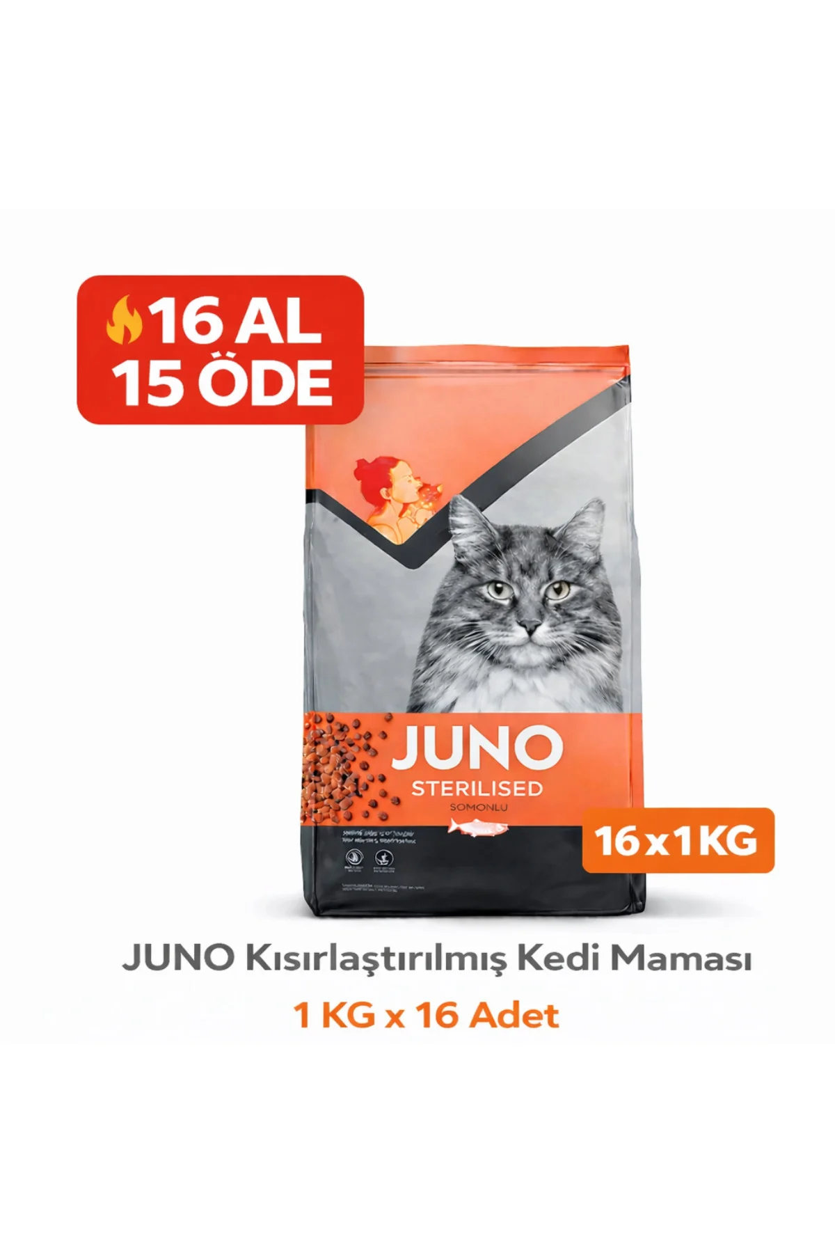 Kısırlaştırılmış Kedi Maması Somonlu 1 KG x 16 Adet Avantaj Paket